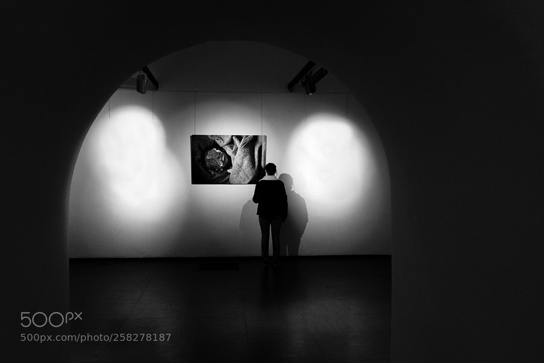 Canon EOS 100D (EOS Rebel SL1 / EOS Kiss X7) sample photo. Lights in the museum photography