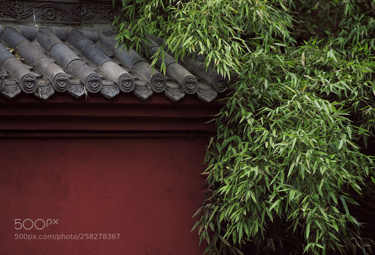 Nikon D810 sample photo. Untitled photography