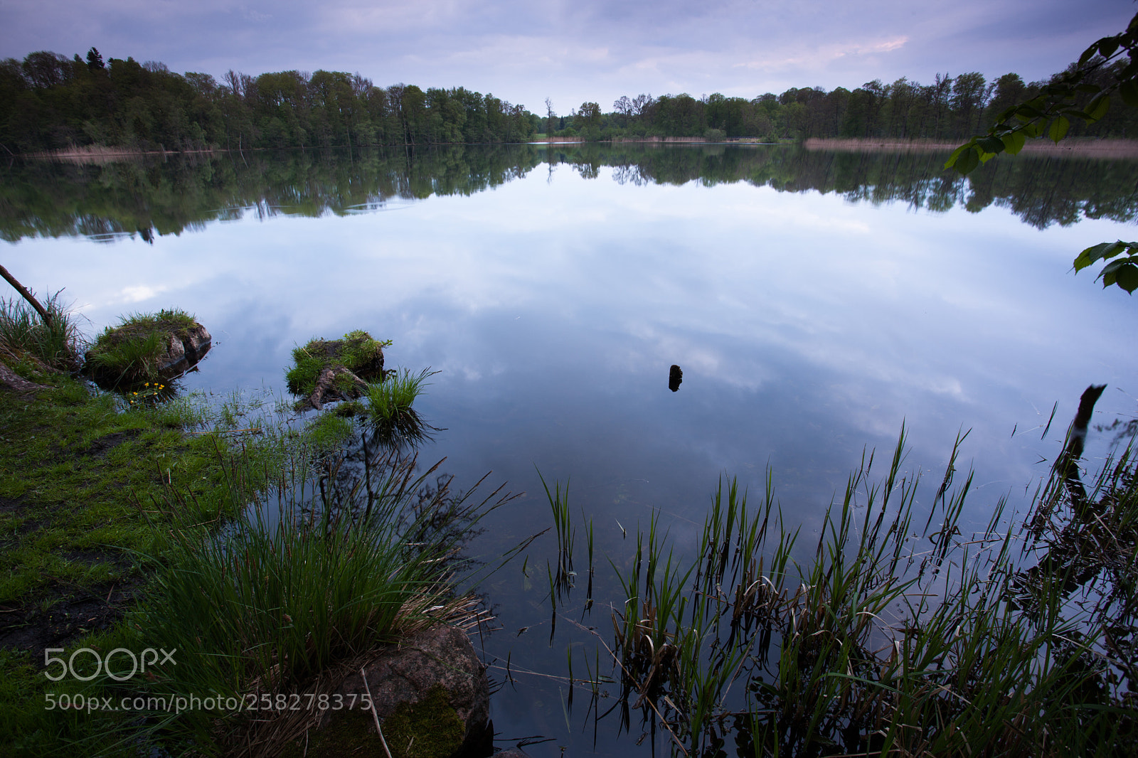 Canon EOS-1Ds Mark III sample photo. Untitled photography