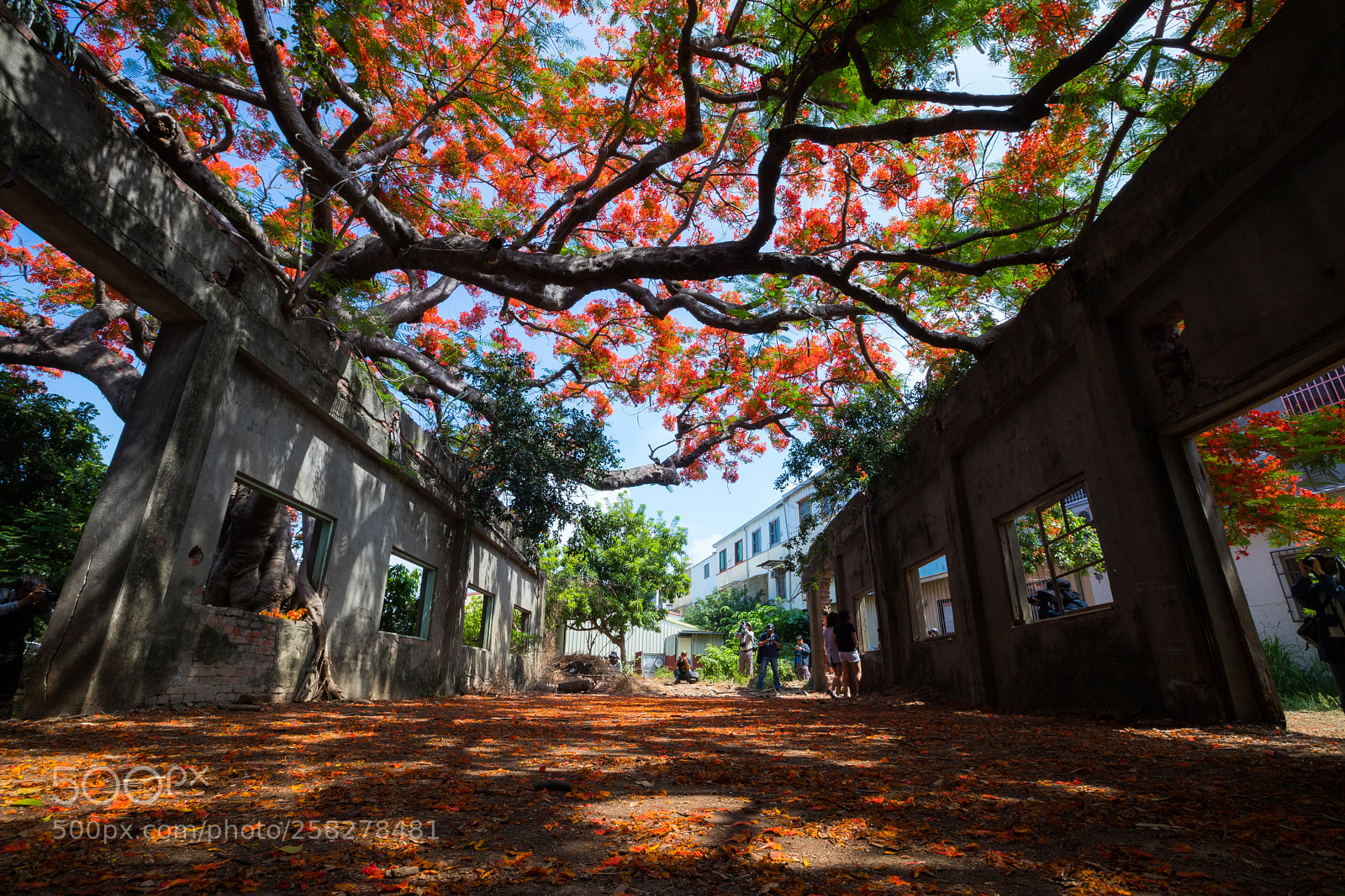 Canon EOS 6D Mark II sample photo. Untitled photography