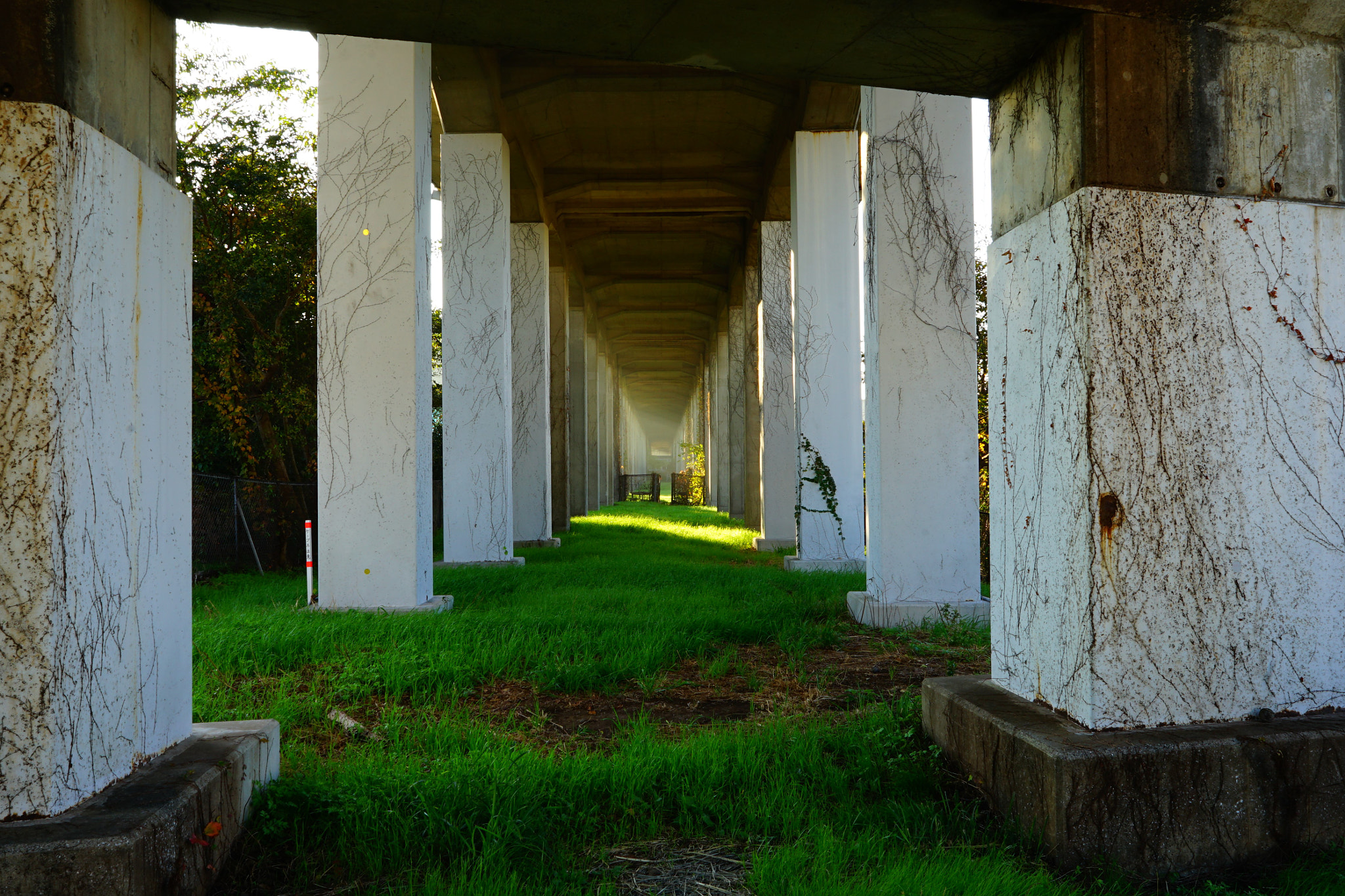 Sony FE 28mm F2 sample photo. Undermeath the elevated railway photography