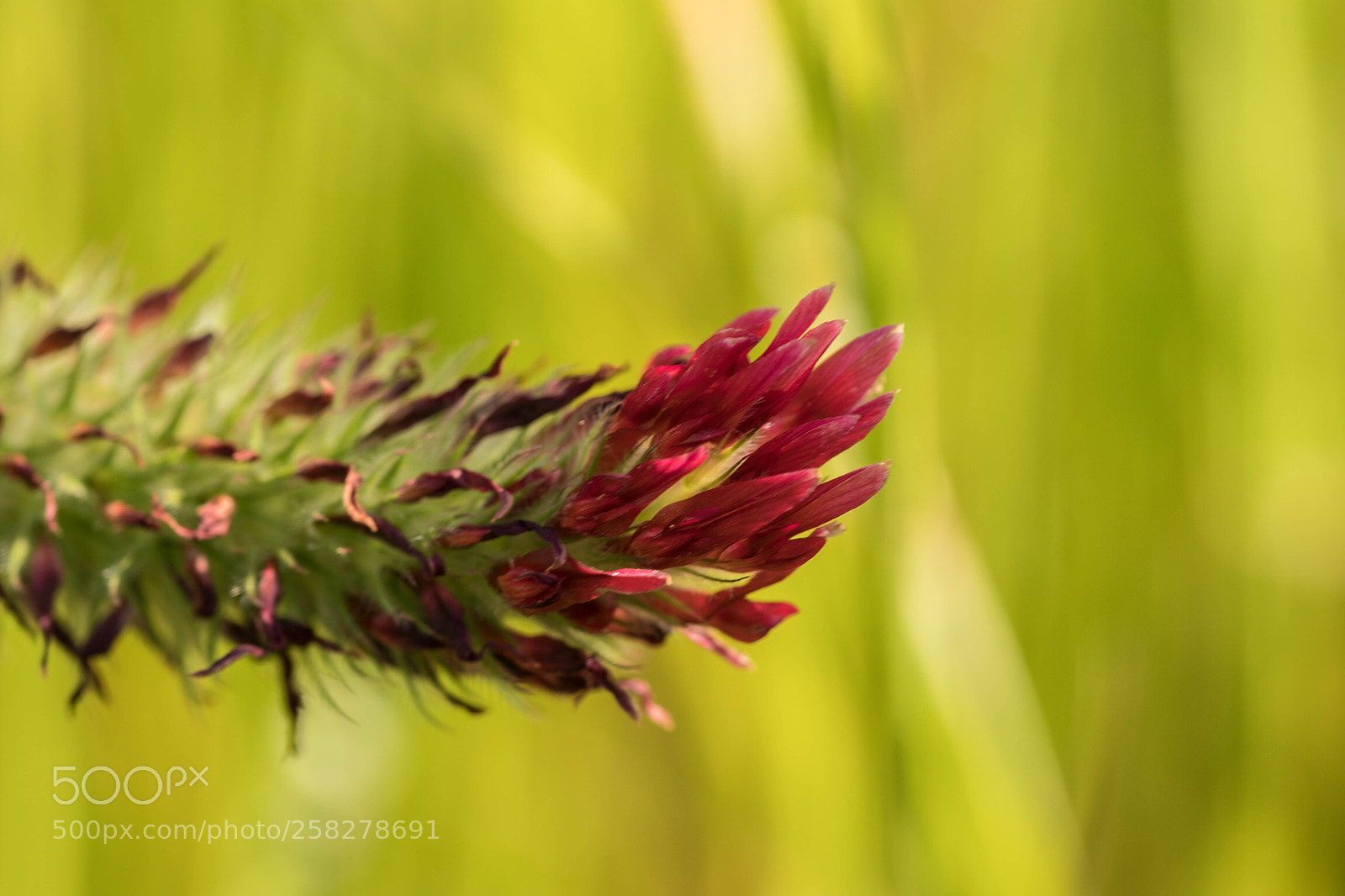 Canon EOS 80D sample photo. Untitled photography