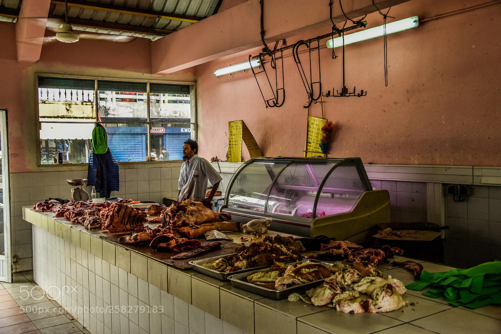 Nikon D5500 sample photo. Kopie photography