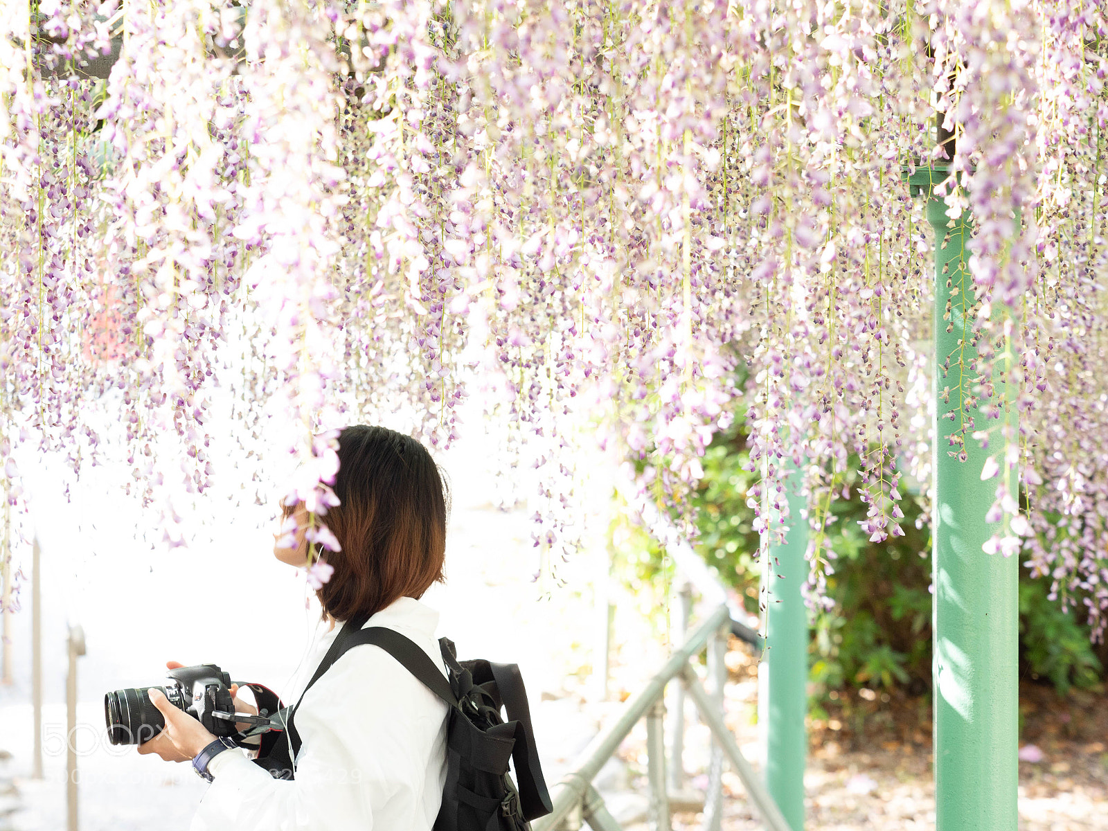 Olympus OM-D E-M1 Mark II sample photo. Untitled photography