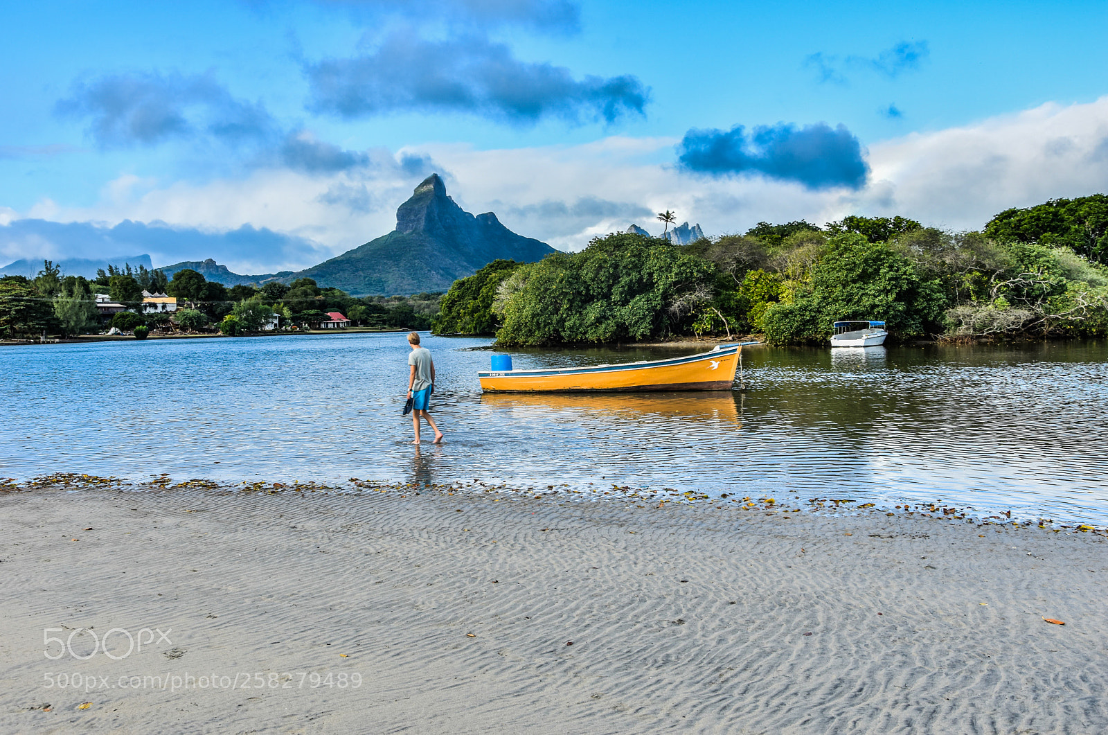 Nikon D5500 sample photo. Mauritius on his best photography