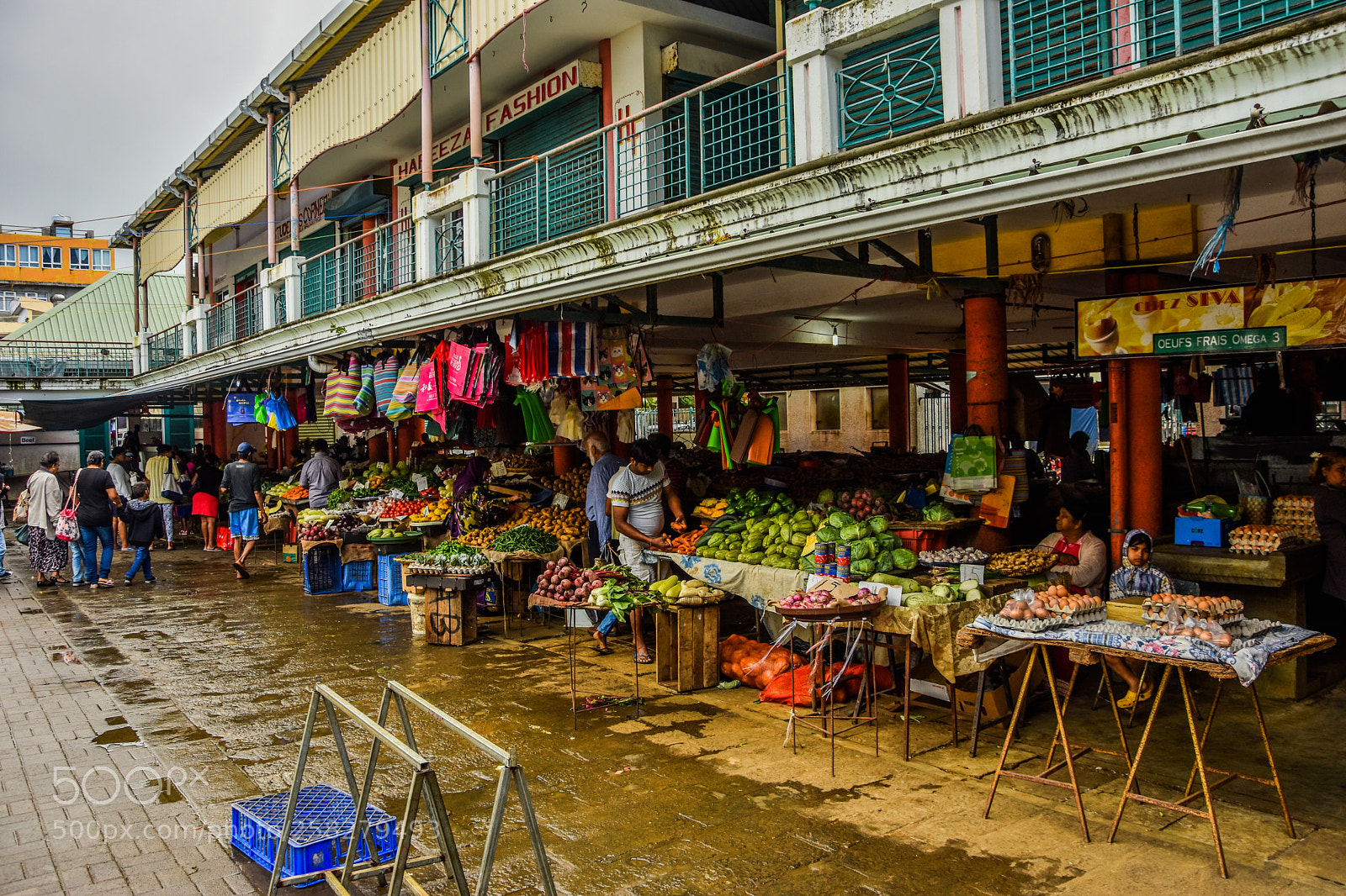 Nikon D5500 sample photo. Mauritius on his best photography