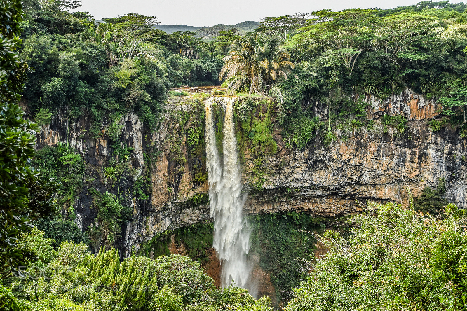 Nikon D5500 sample photo. Mauritius on his best photography
