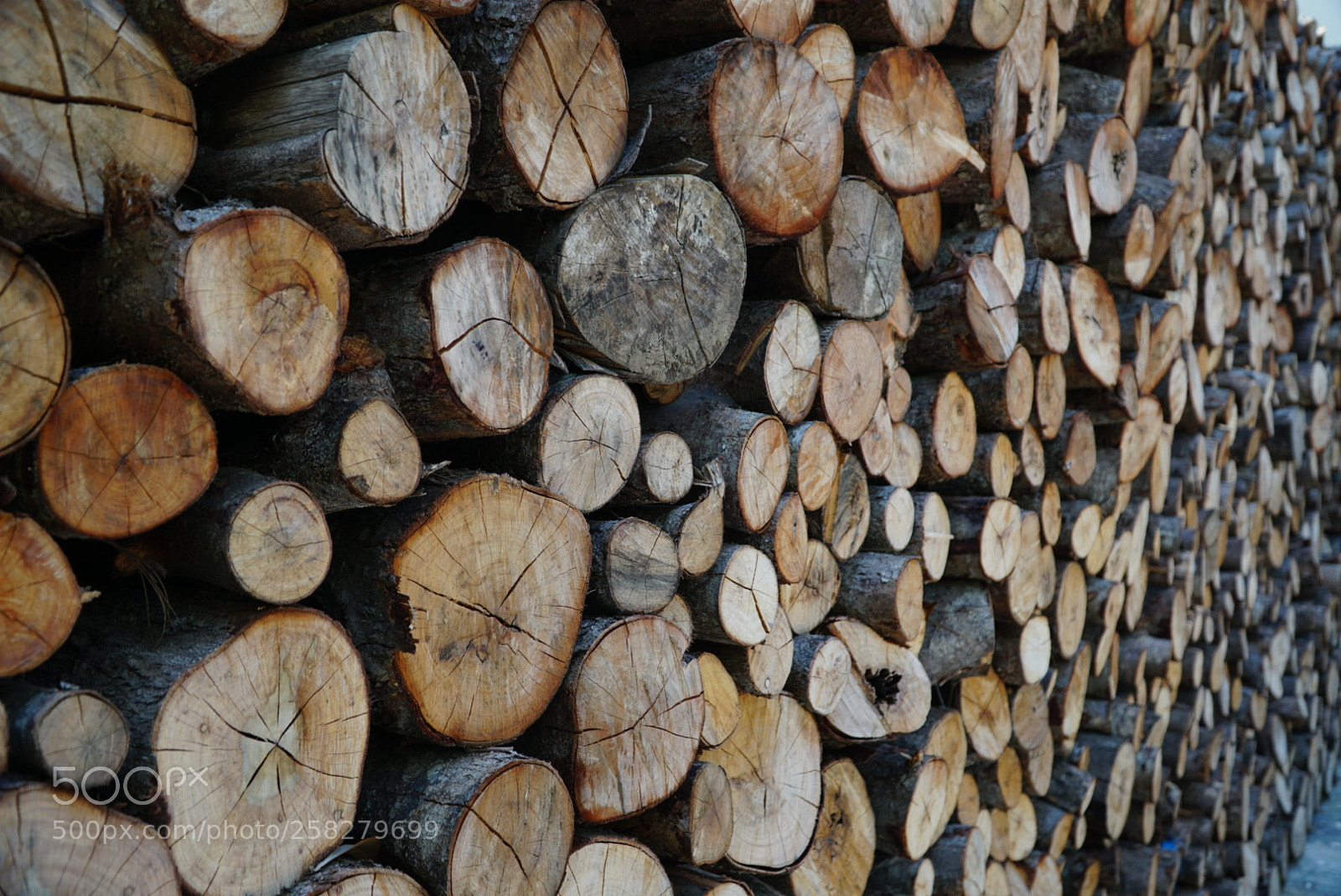Sony a6500 sample photo. Wood photography