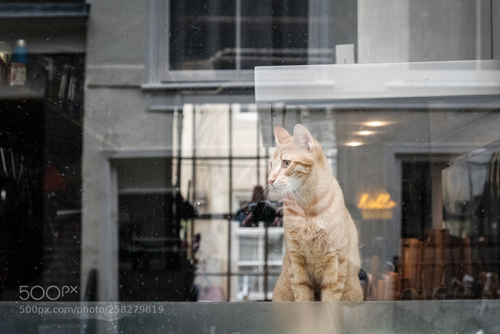Fujifilm X-T20 sample photo. Missing you photography