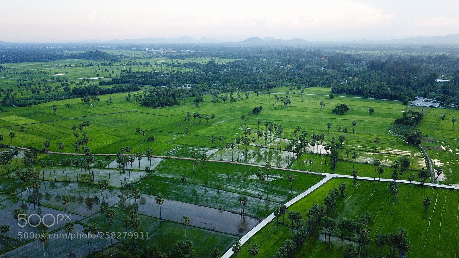 DJI FC220 sample photo. Untitled photography