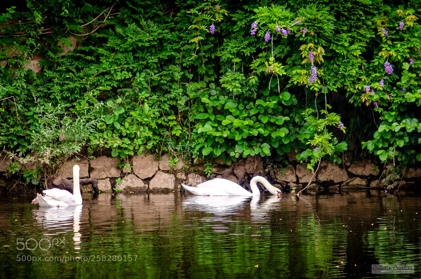 Nikon D7000 sample photo. Terrasson-lavilledieu - dordogne photography