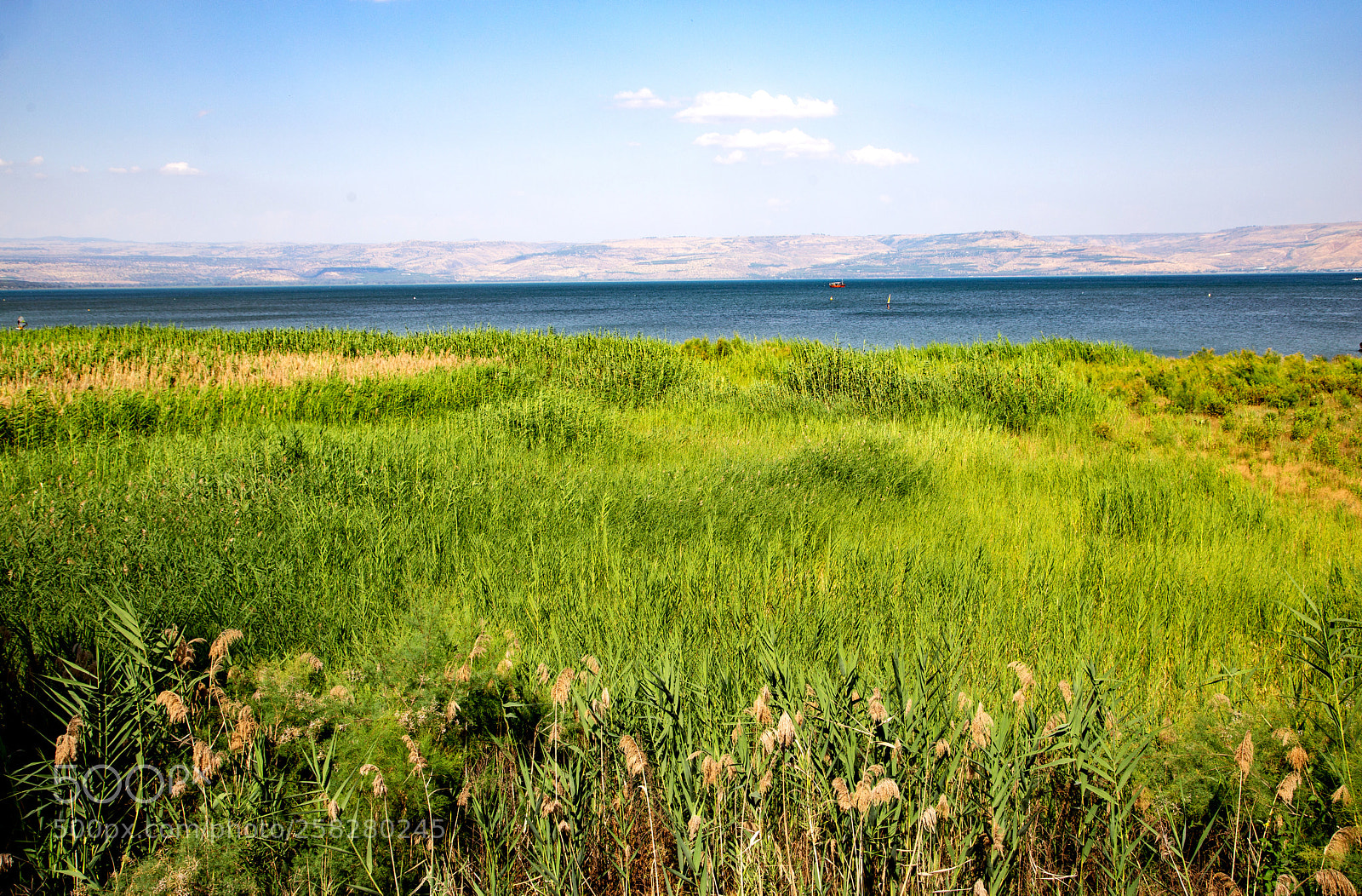 Canon EOS 6D sample photo. Lakey likey photography