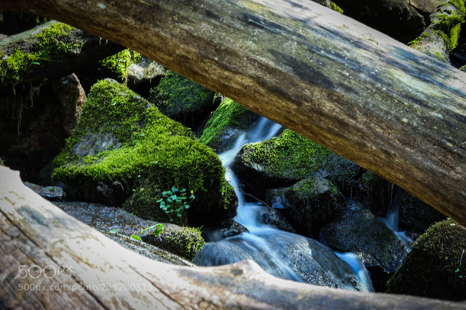 Canon EOS 77D (EOS 9000D / EOS 770D) sample photo. My spot photography