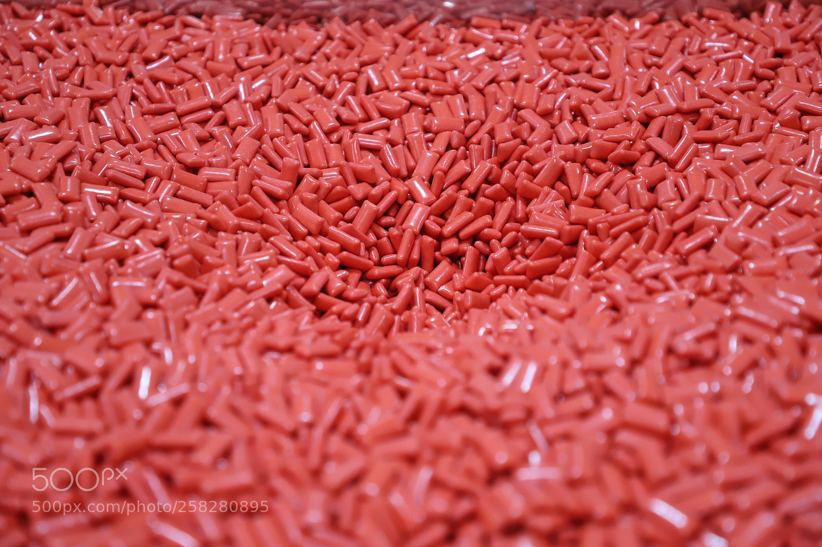 Canon EOS 6D Mark II sample photo. Untitled photography