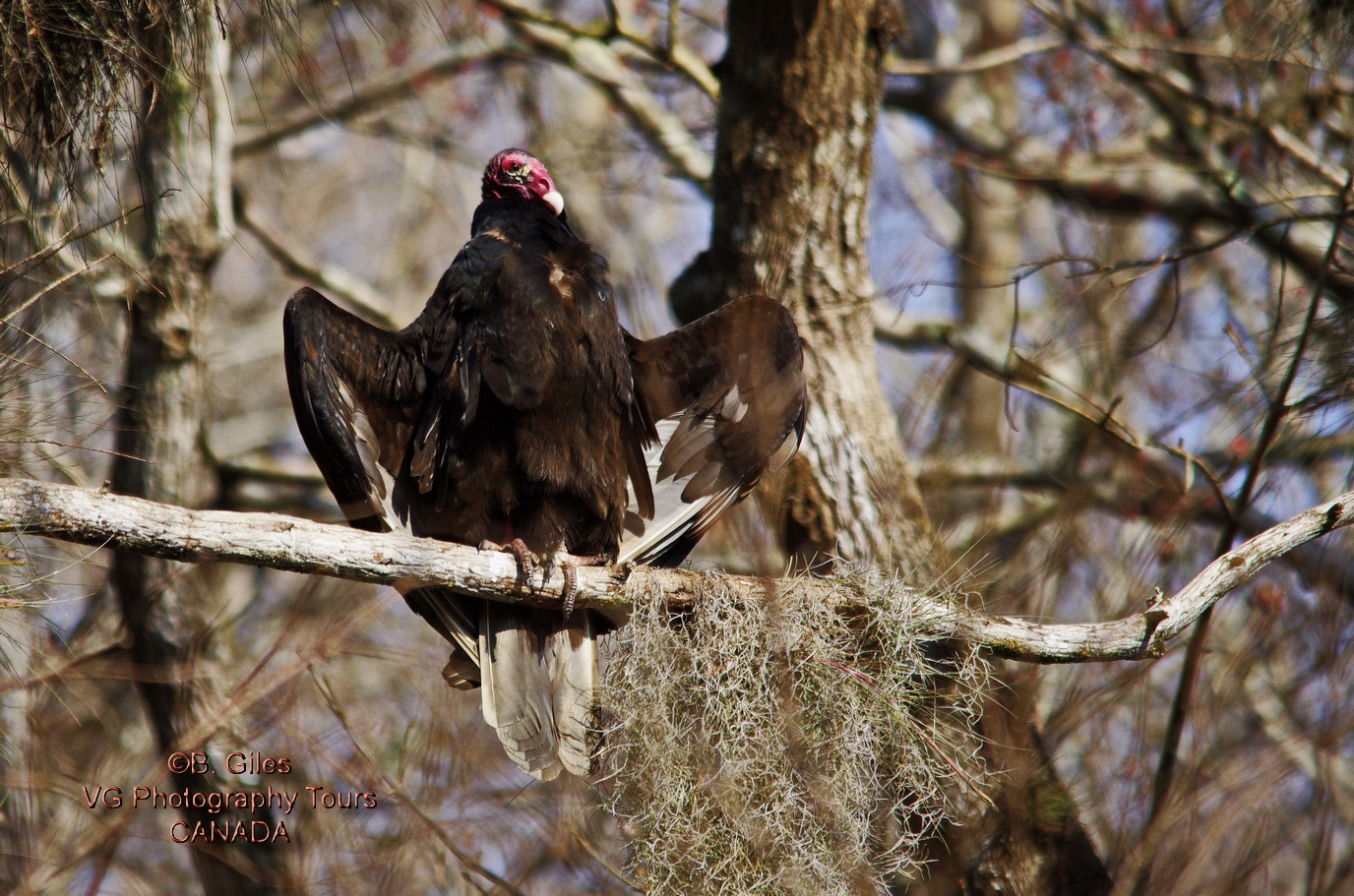 Pentax K-5 IIs sample photo. Feels good!! photography