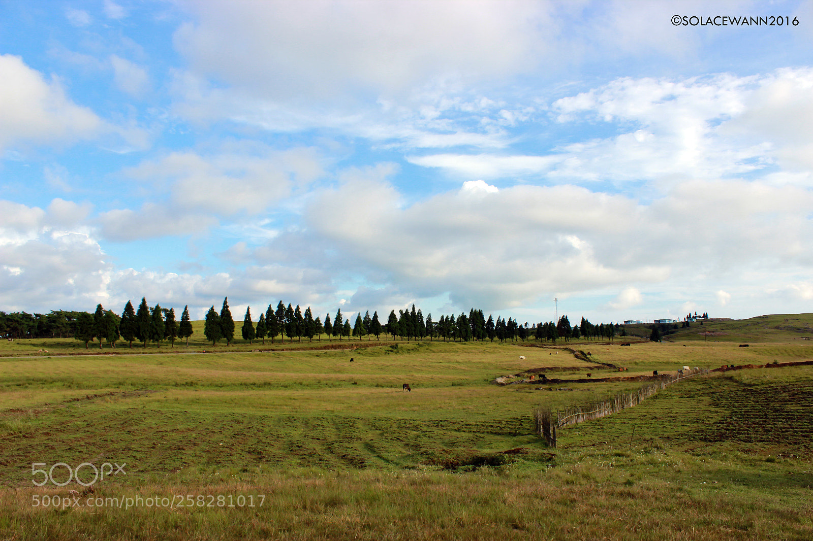 Canon EOS 600D (Rebel EOS T3i / EOS Kiss X5) sample photo. Land of beauty. photography