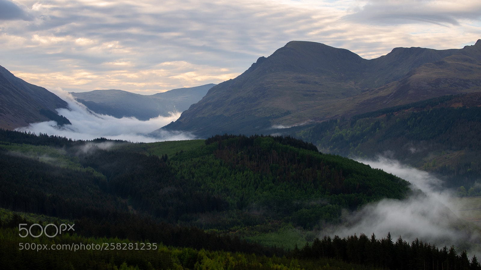 Nikon D610 sample photo. Ennerdale valley fog with photography