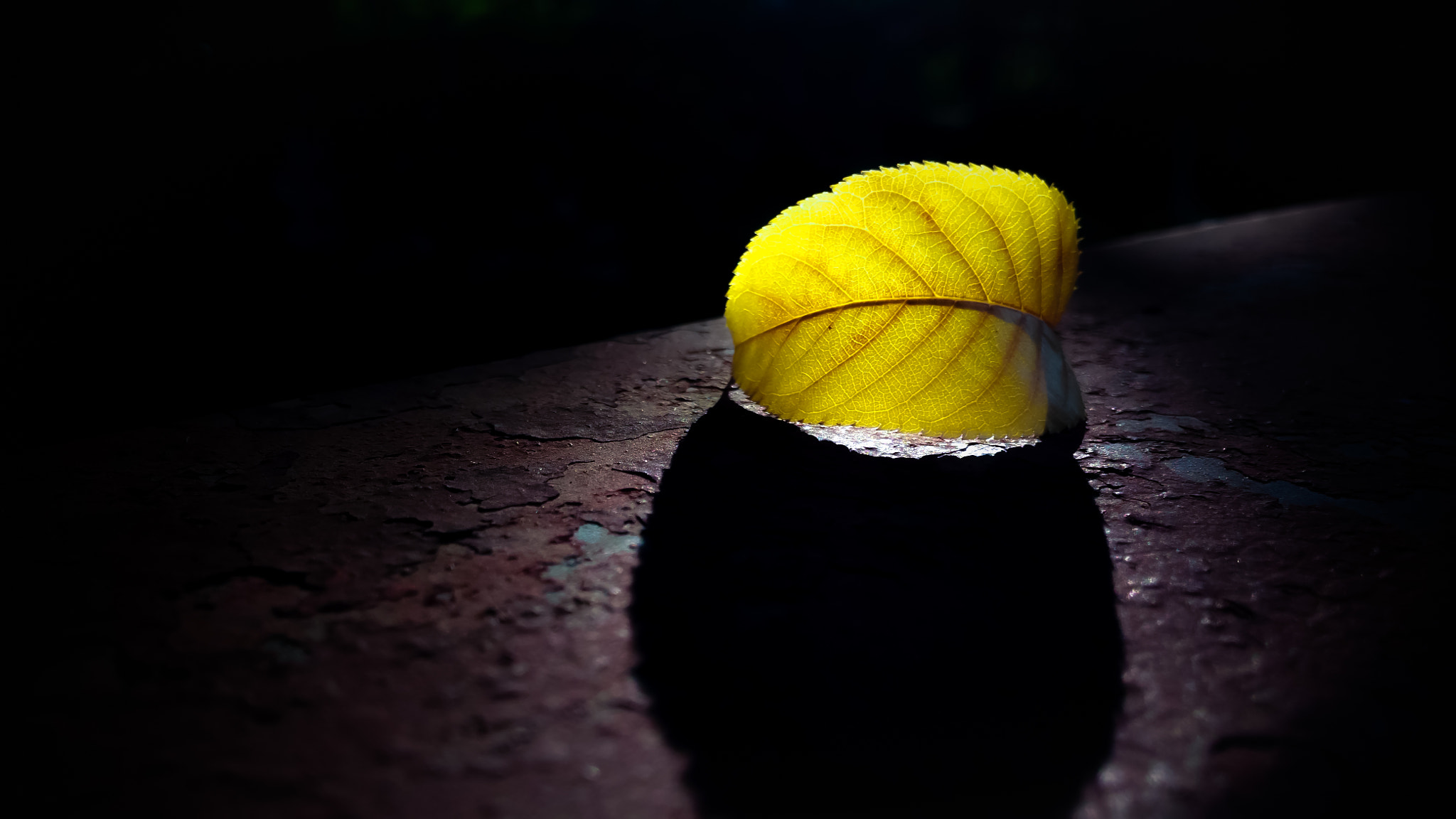 Xiaomi Mi-4c sample photo