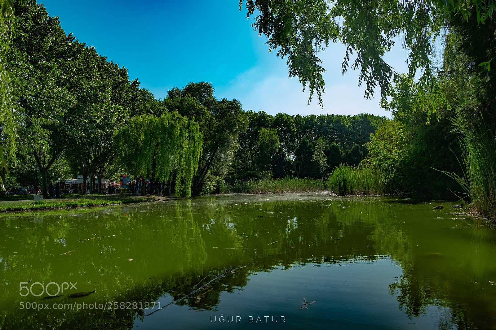 Fujifilm X-T1 sample photo. Untitled photography