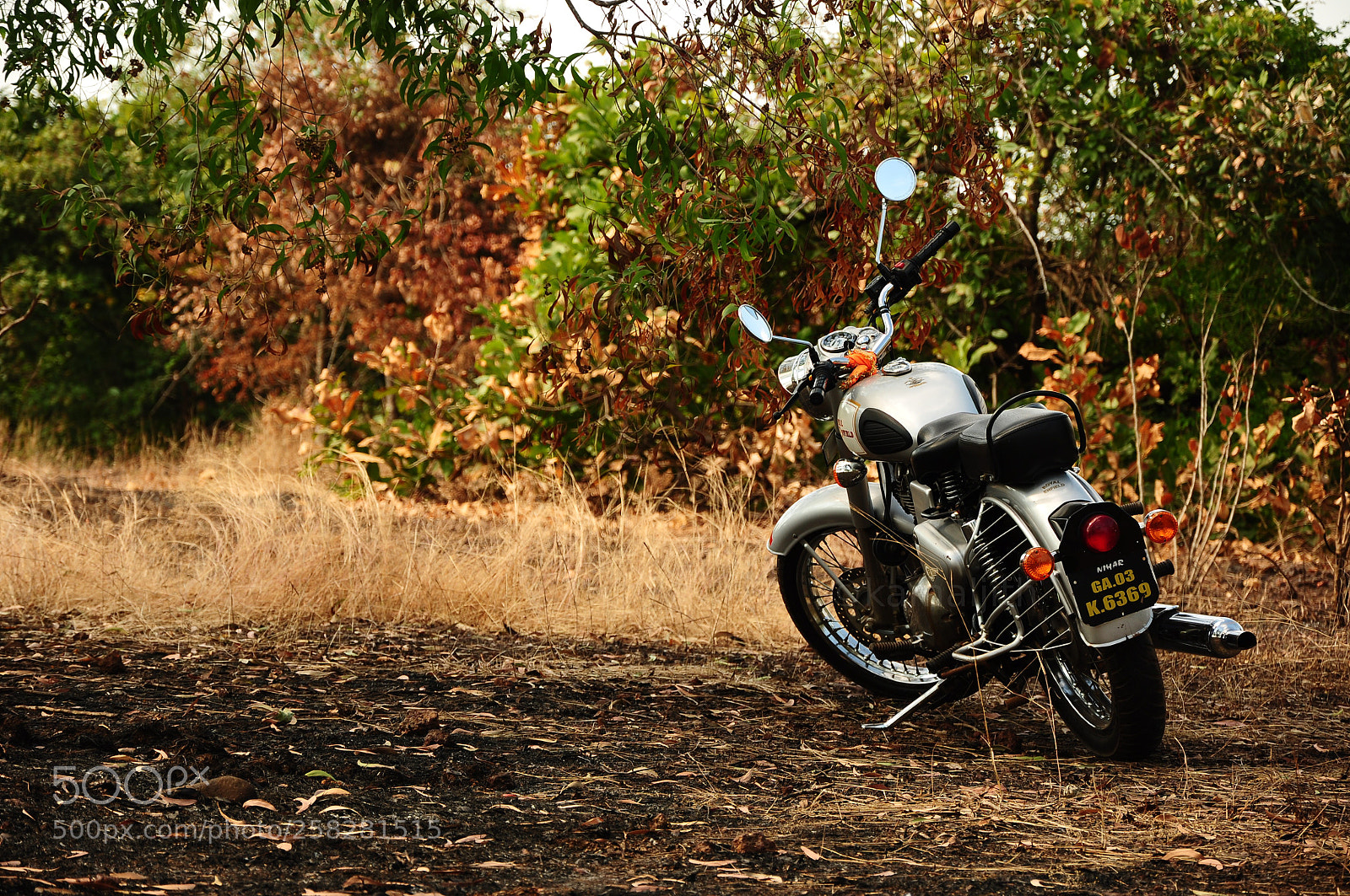 Nikon D90 sample photo. Untitled photography