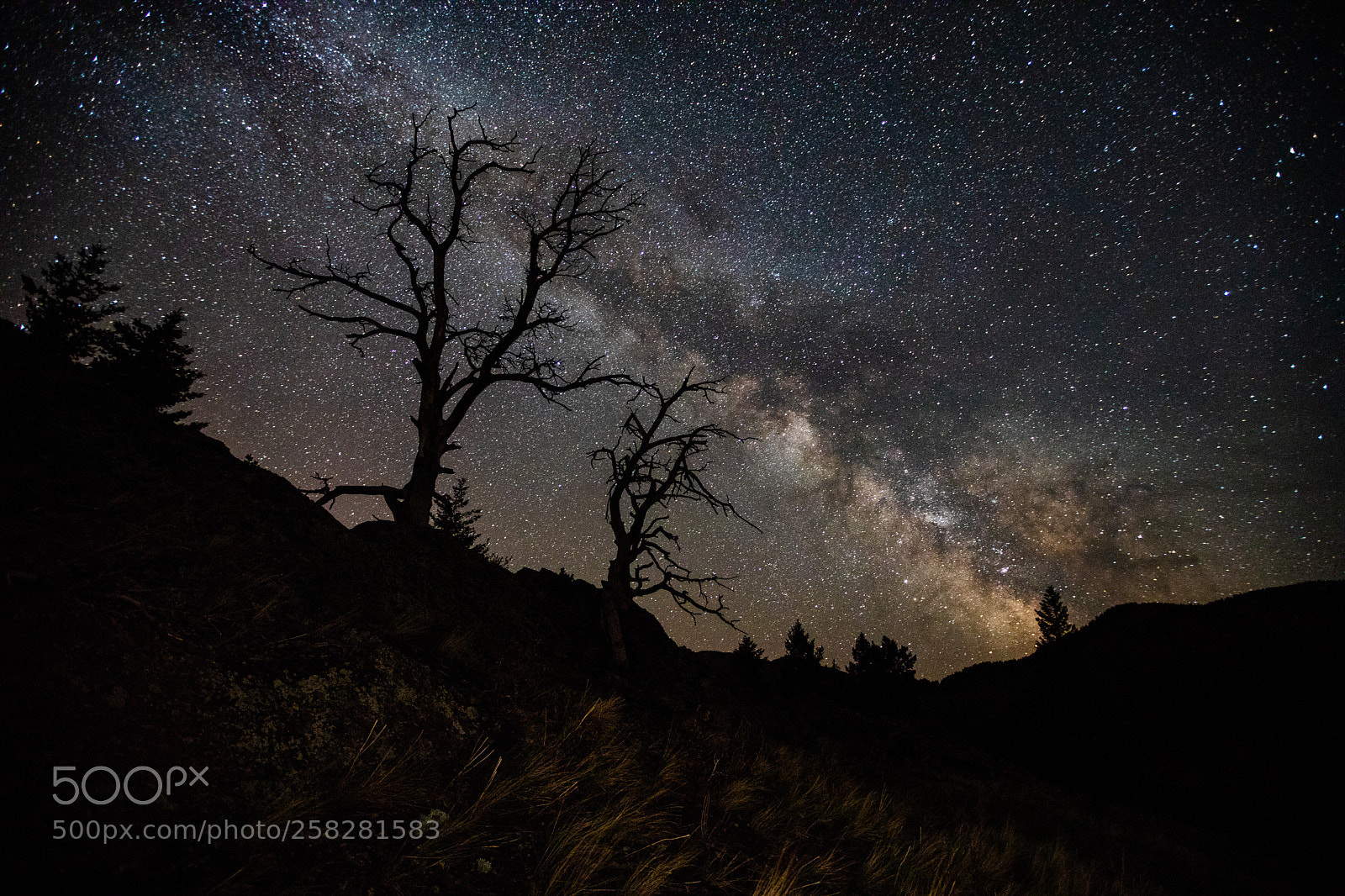 Canon EOS 5D Mark IV sample photo. Milky way photography