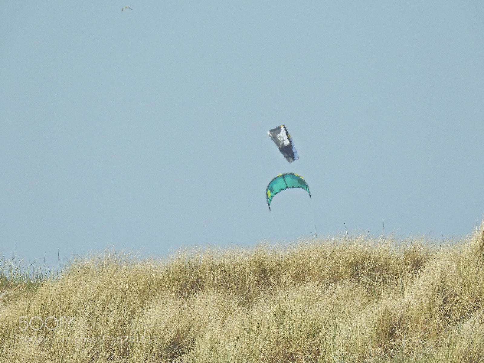 Nikon Coolpix P900 sample photo. Two kites spo photography