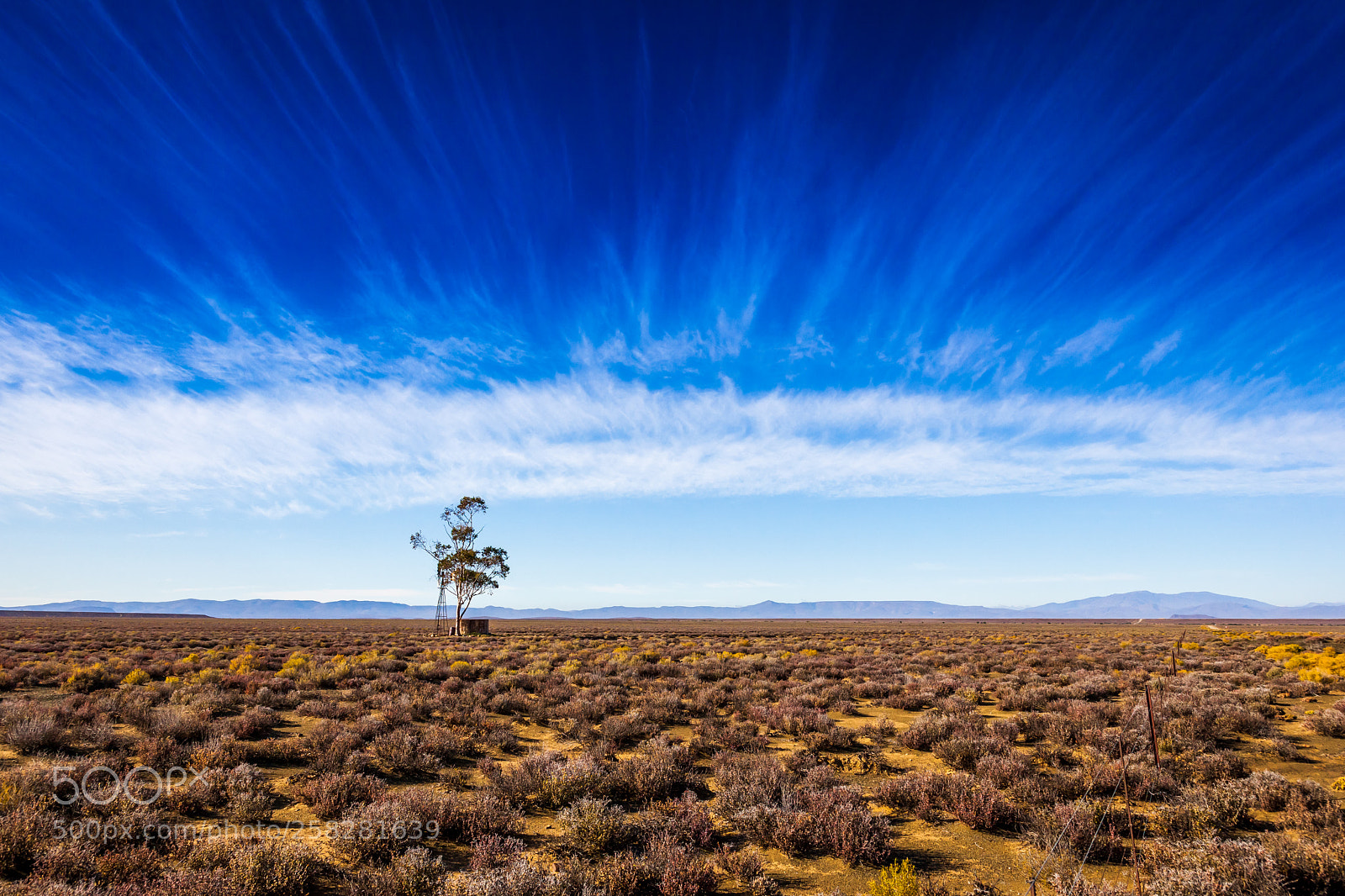 Canon EOS 5D Mark II sample photo. The remote karoo photography