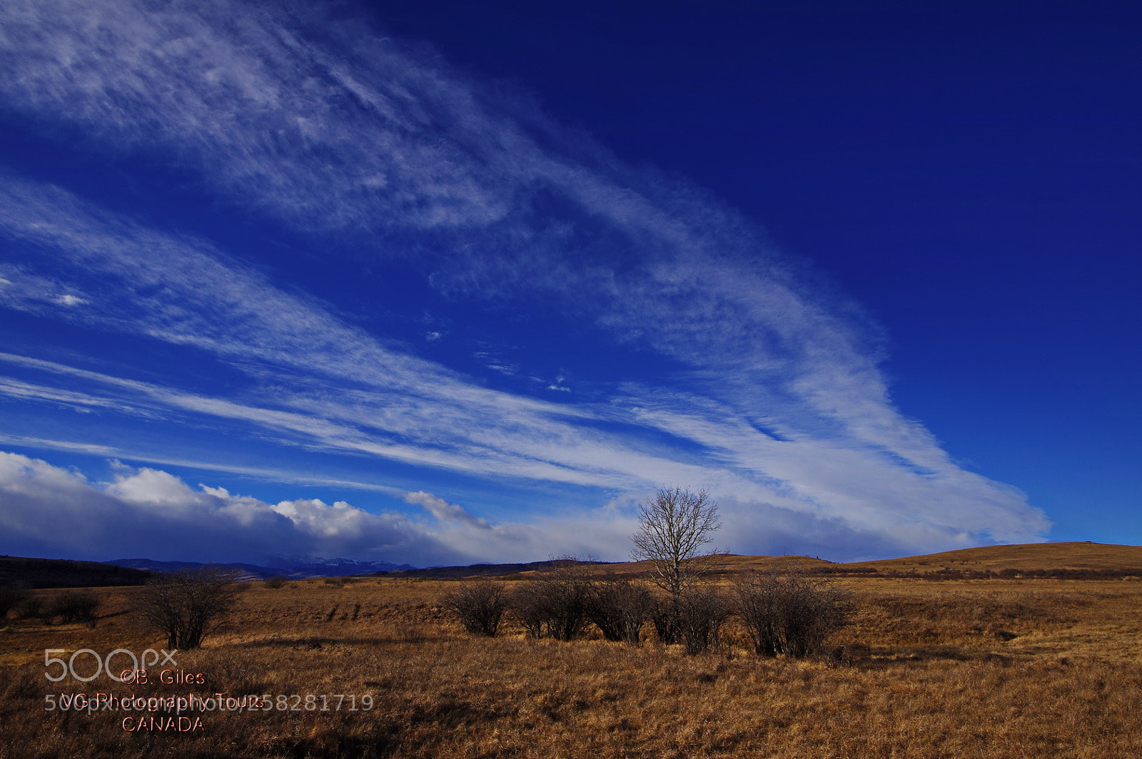 Pentax K-3 sample photo. Clear sky, fresh air! photography
