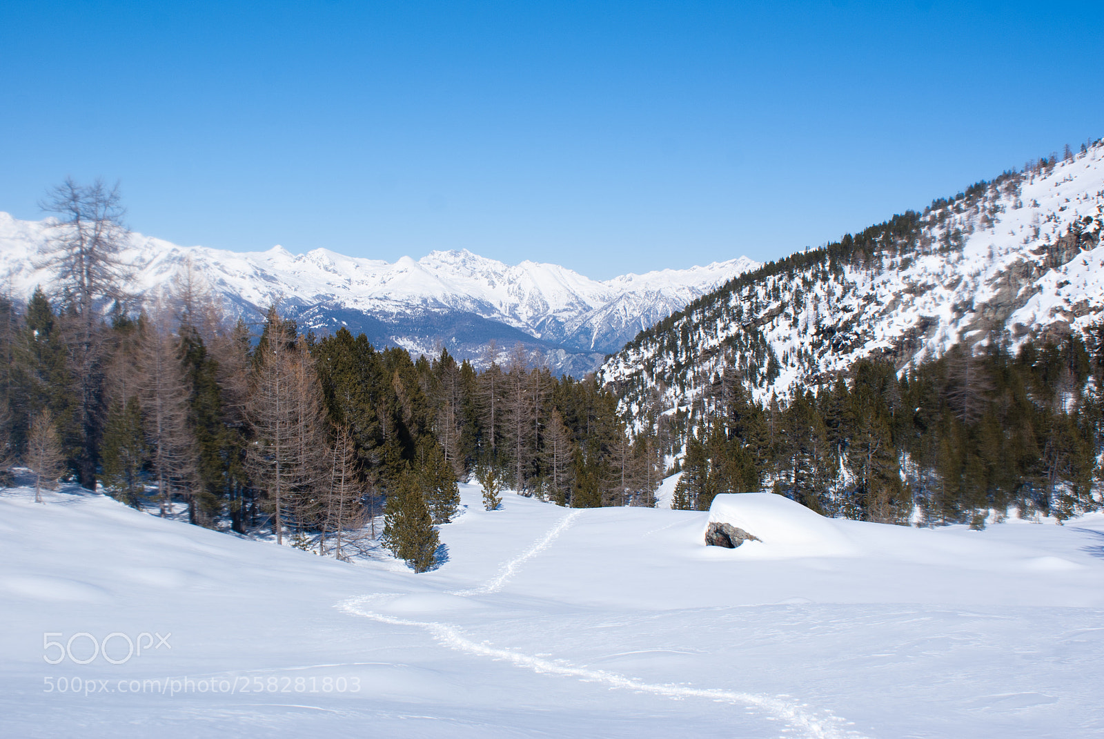 Sony Alpha DSLR-A300 sample photo. Italy photography