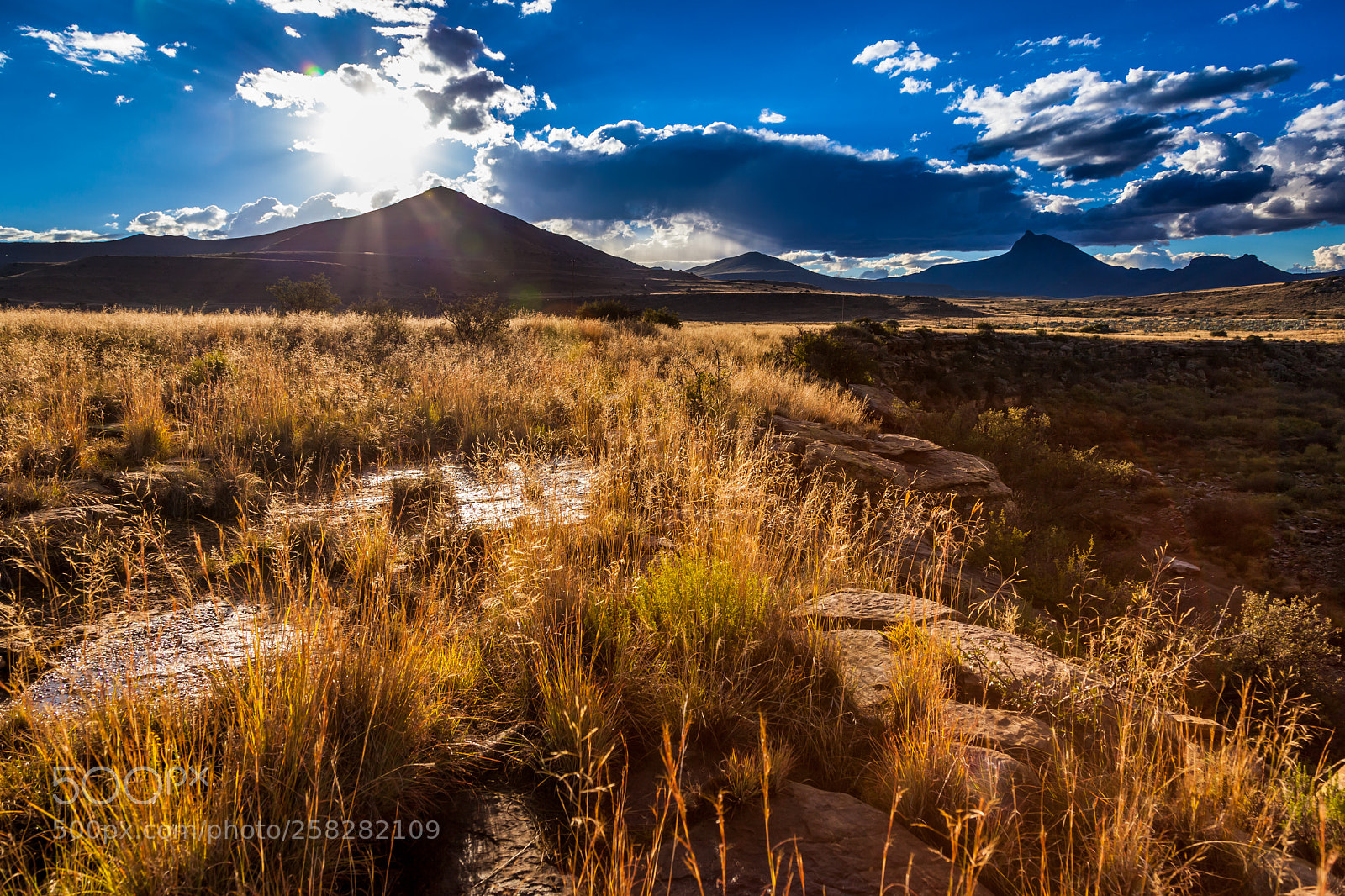 Canon EOS 5D Mark II sample photo. Karoo grassland photography