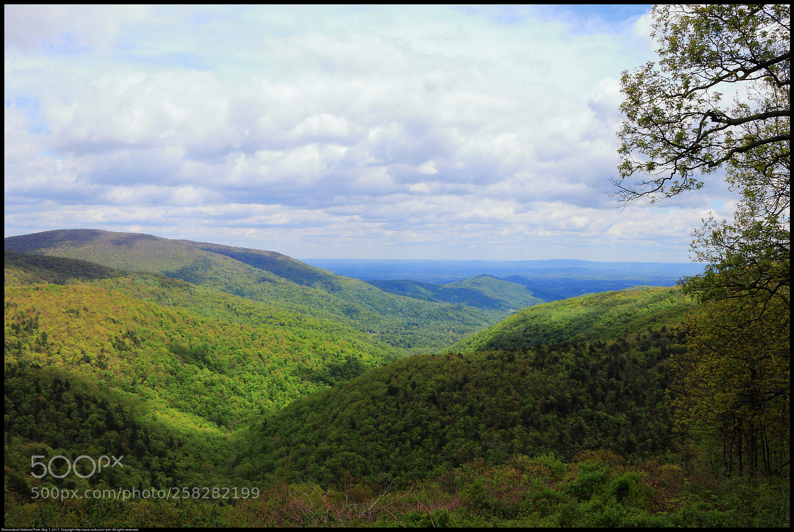 Canon EOS 80D sample photo. Shenandoah national park photography