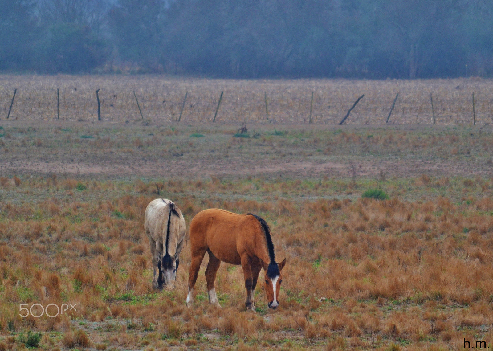 Nikon D3100 sample photo. Dco photography