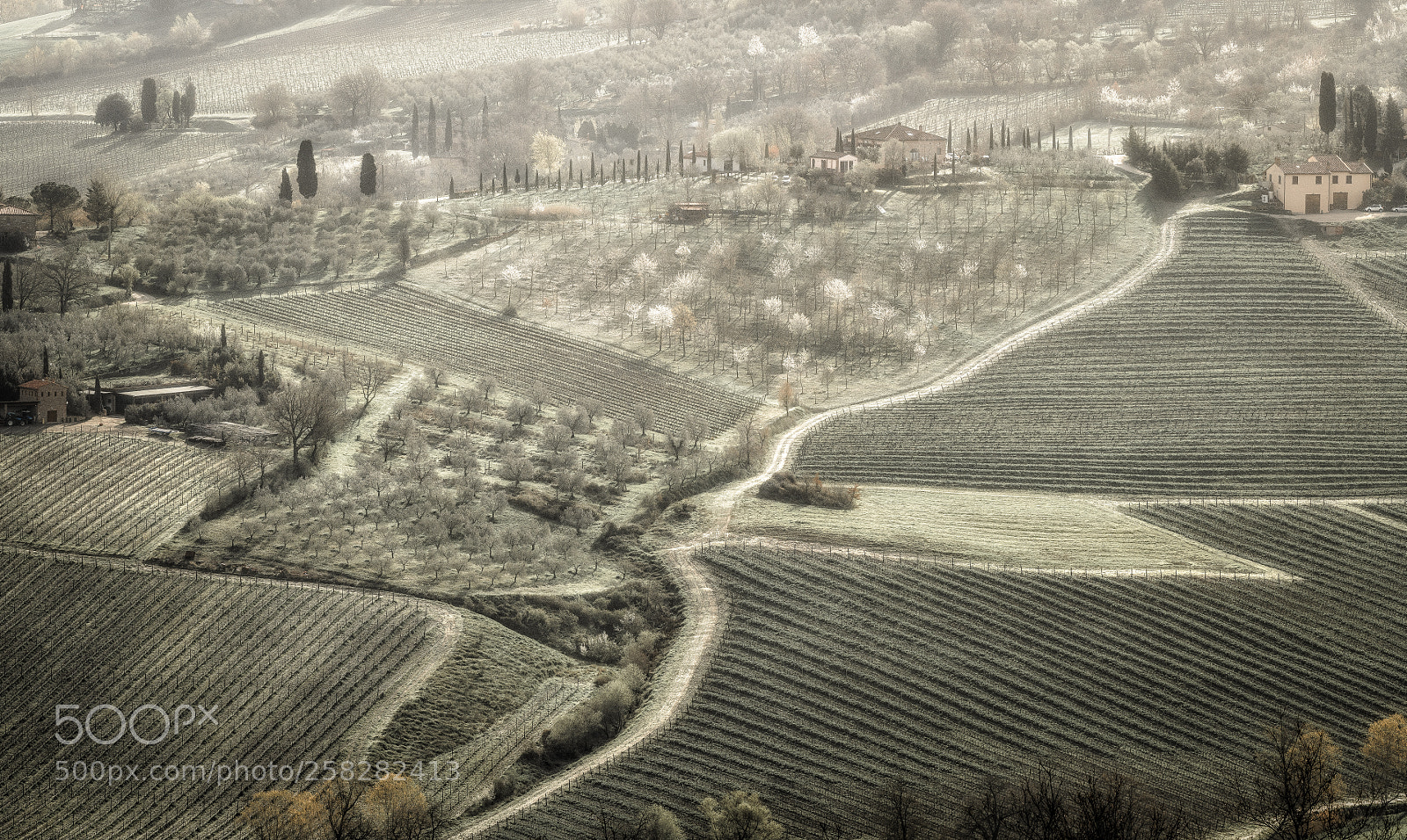 Nikon D850 sample photo. Tuscan pen drawing photography