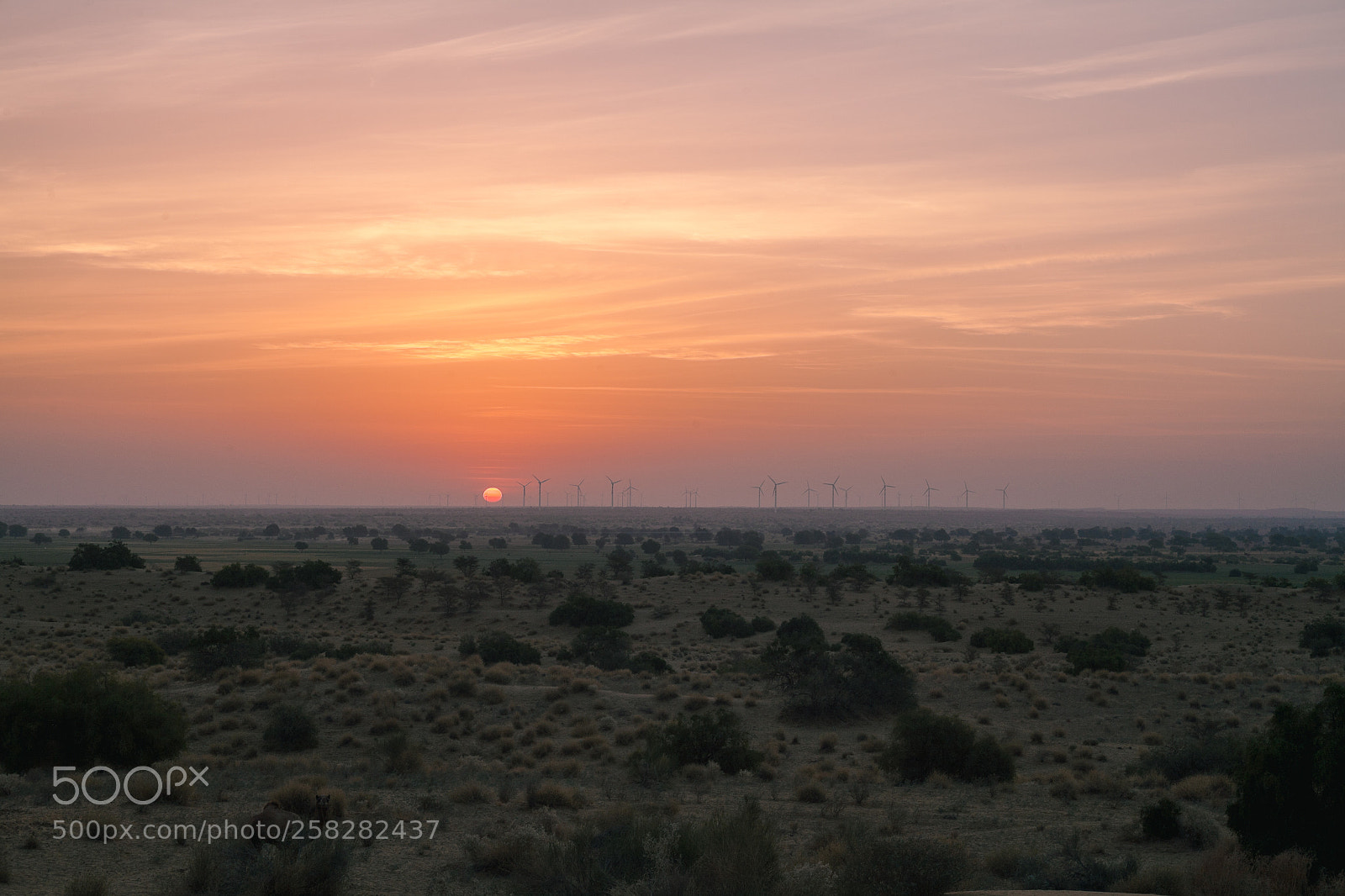 Canon EOS 5D sample photo. Industrial sunrise rajasthan desert photography