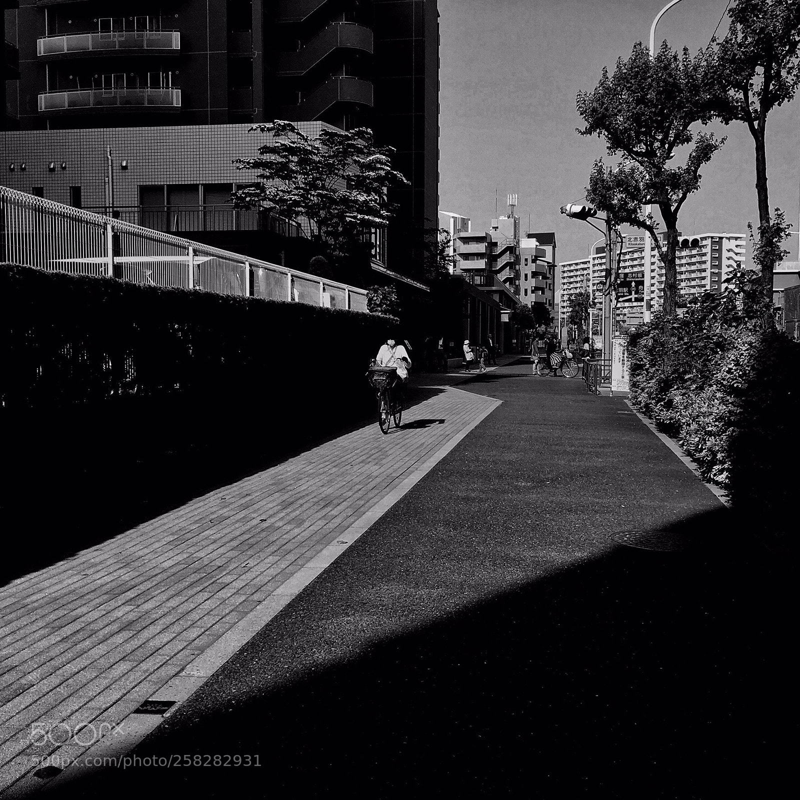 Apple iPhone 6s sample photo. Untitled photography
