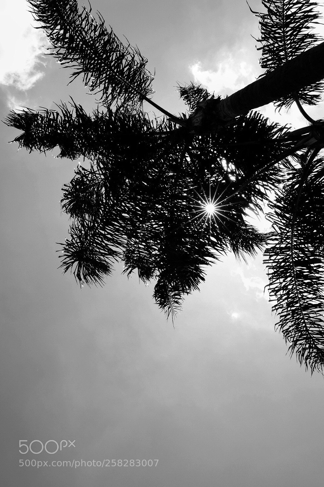 Fujifilm X-E3 sample photo. Sizzlin’ sunday sunburst photography