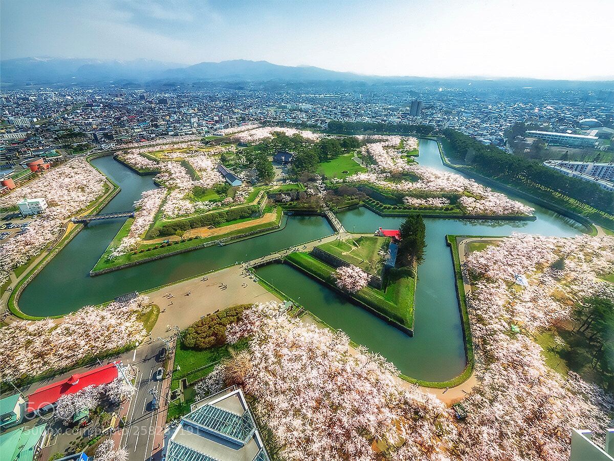 Olympus OM-D E-M1 sample photo. Goryokaku park photography