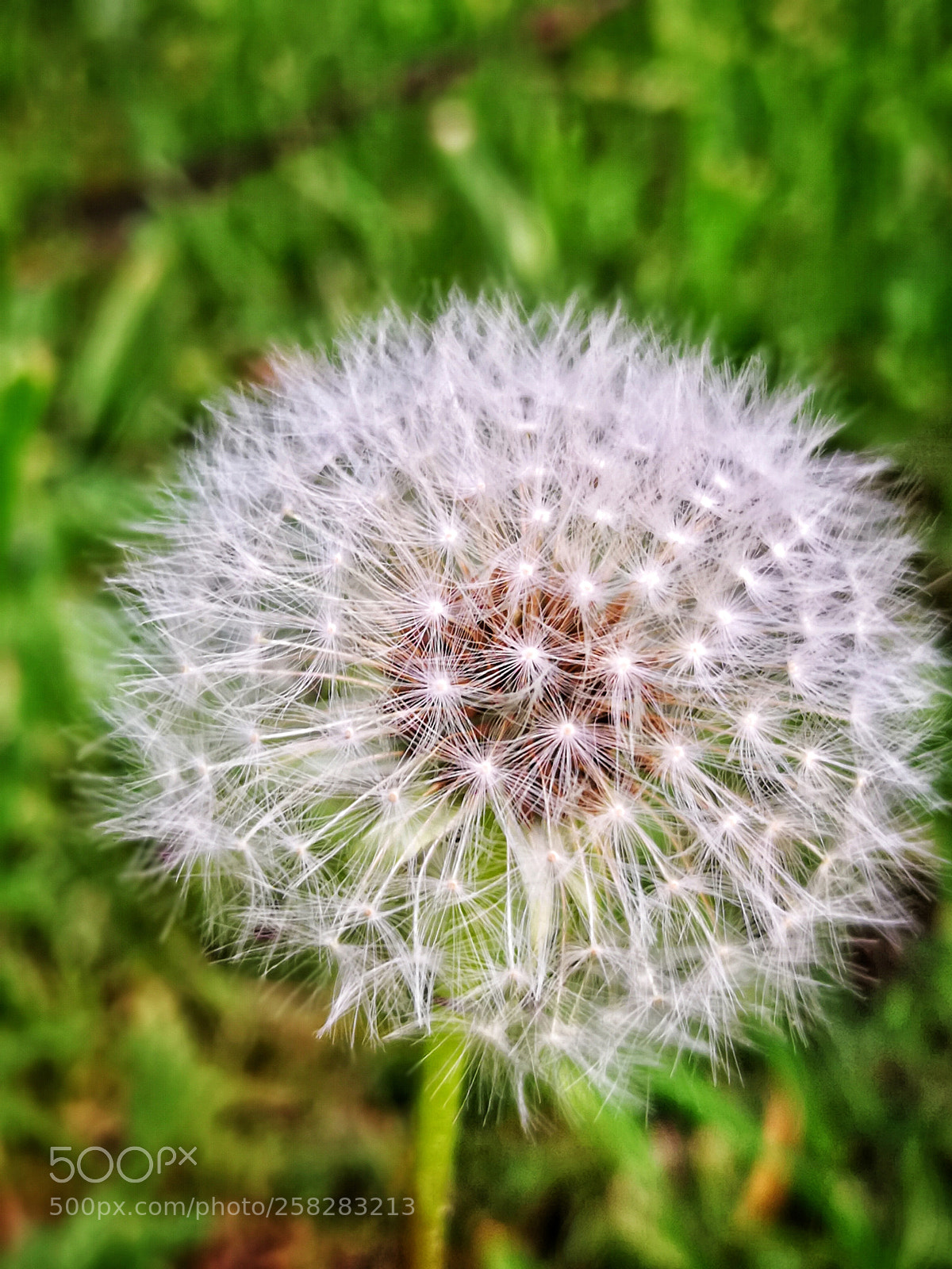 HUAWEI Mate 10 Pro sample photo. Untitled photography