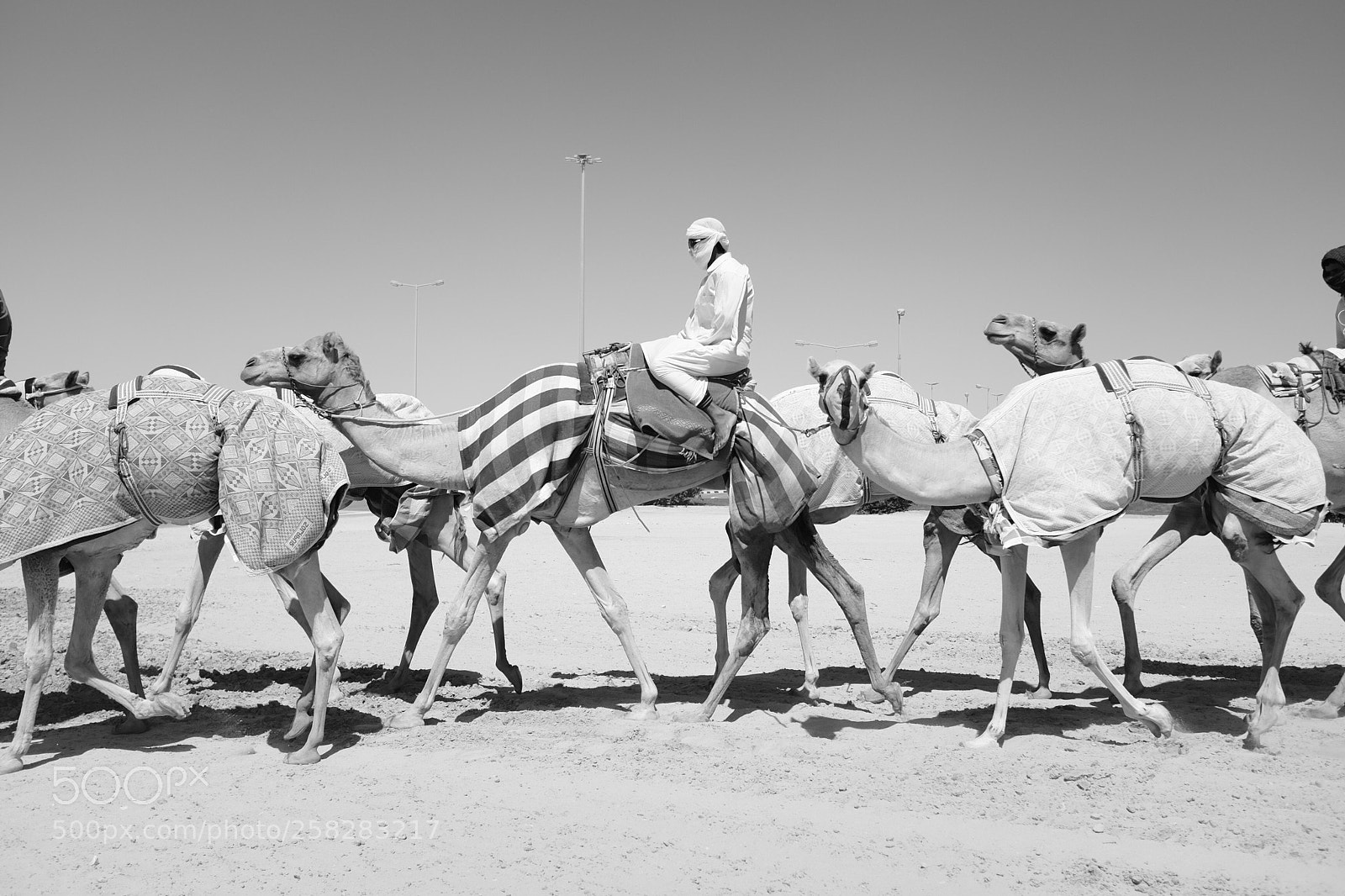 Fujifilm X100T sample photo. Doha, qatar photography