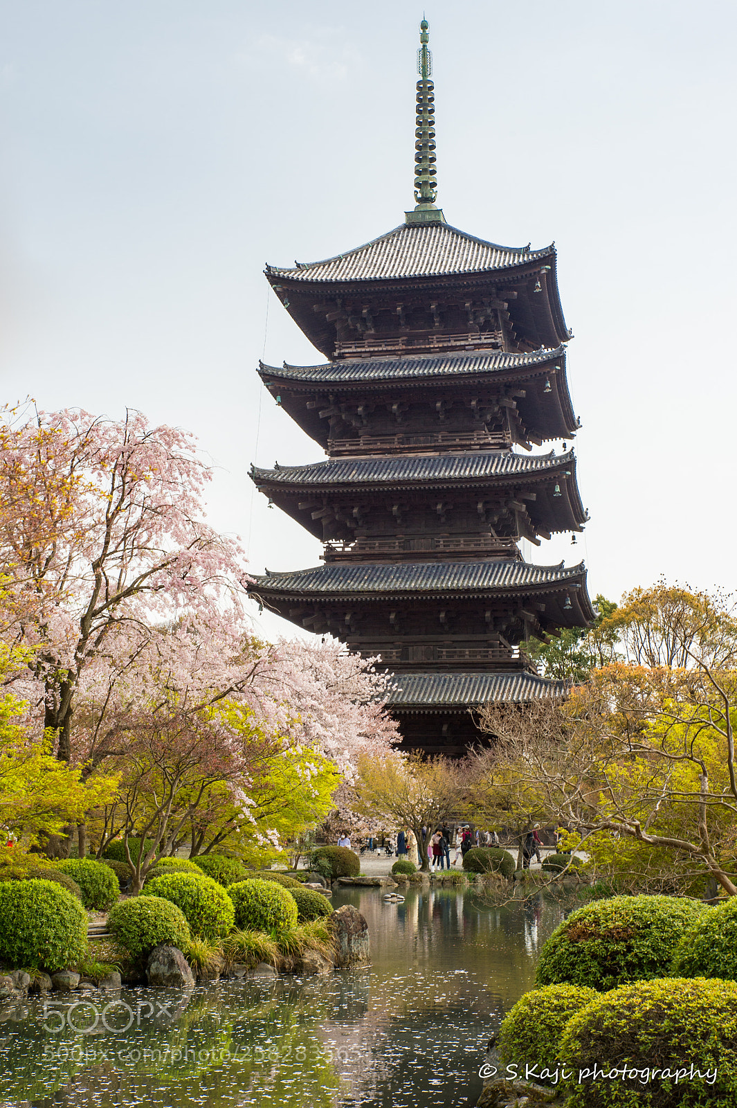 Nikon Df sample photo. Toji 2 photography