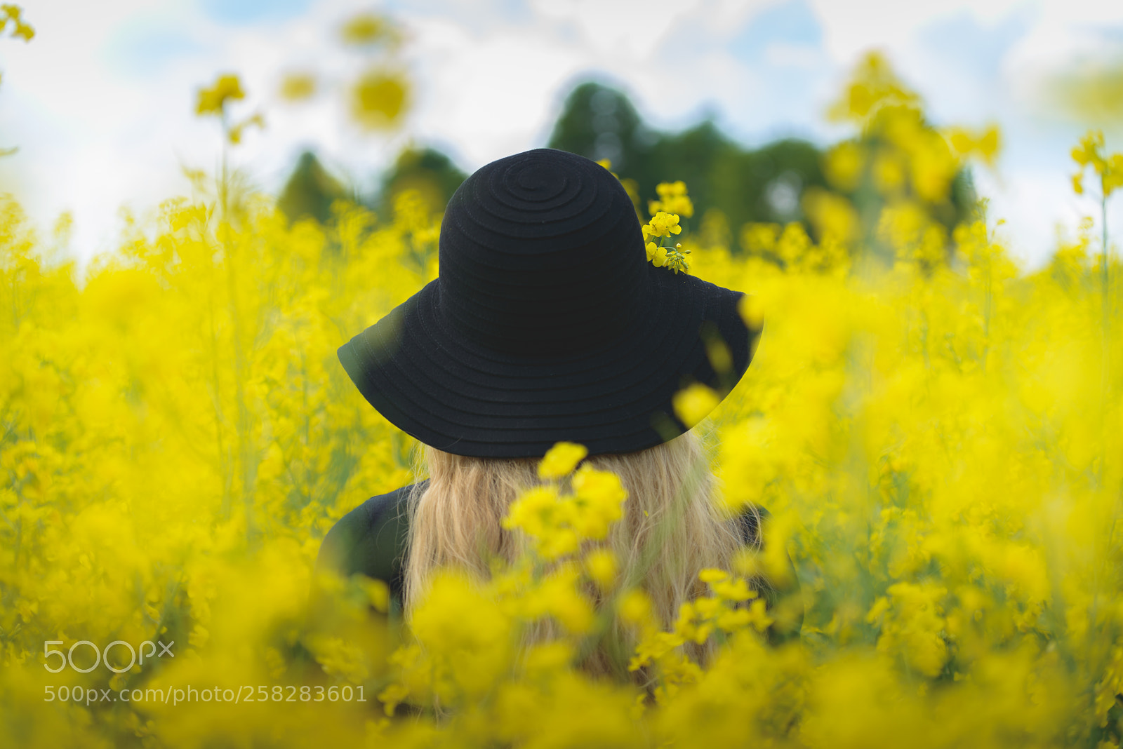 Nikon D800 sample photo. Black dressed lady in photography