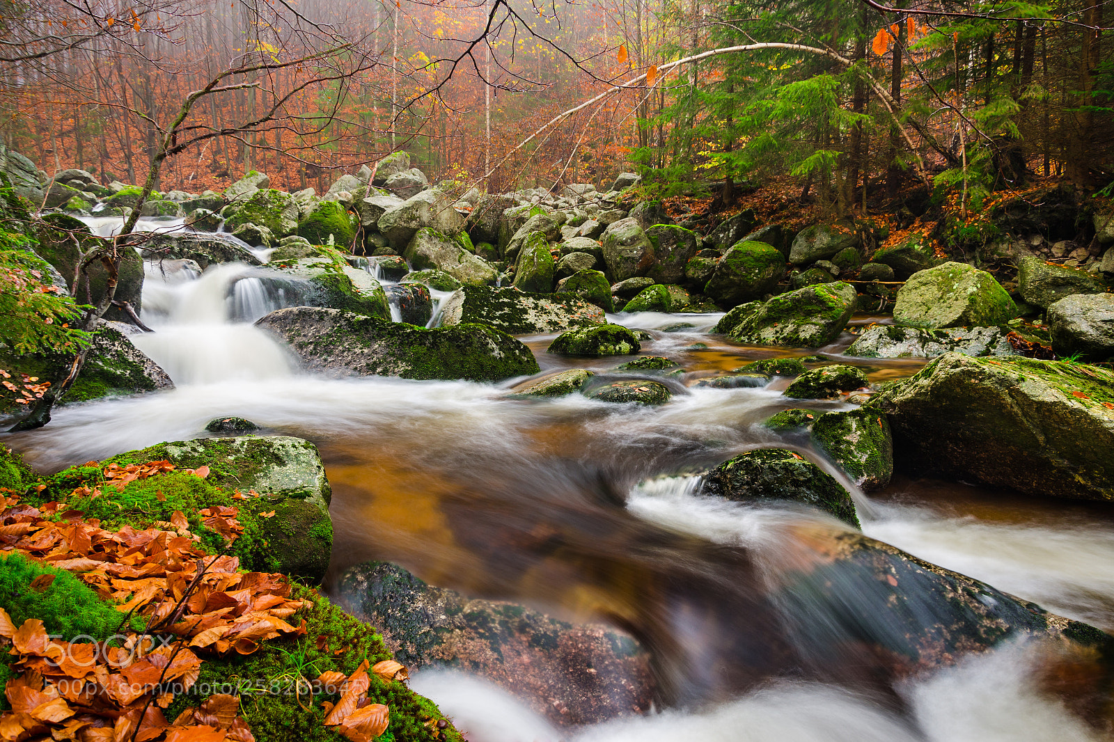 Nikon D5100 sample photo. Mountain stream - sm photography