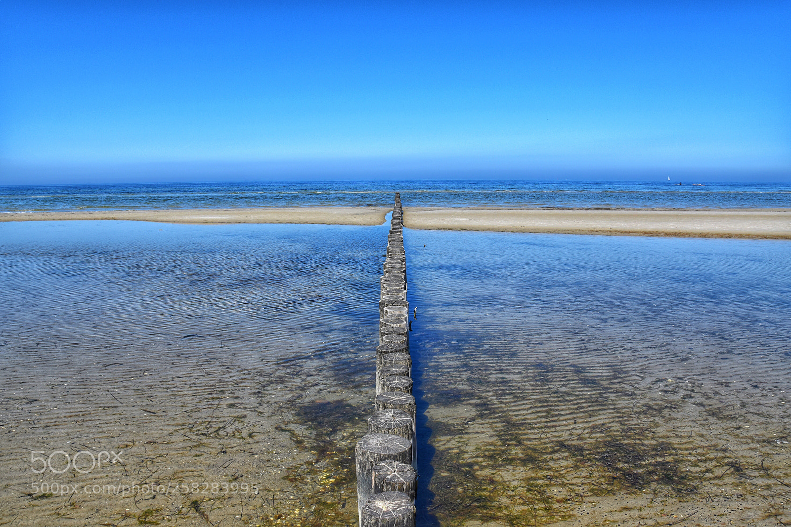 Nikon D5600 sample photo. Insel poel photography