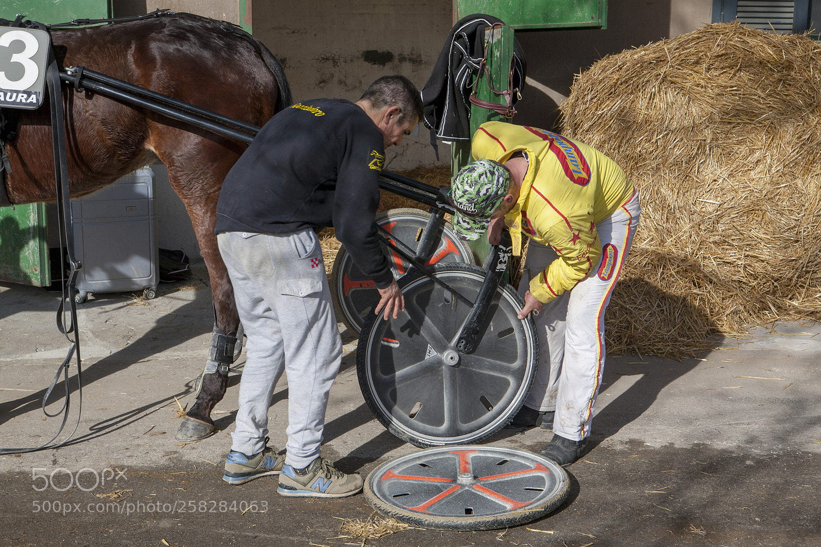 Canon EOS 5D sample photo. Behind the scenes horse photography