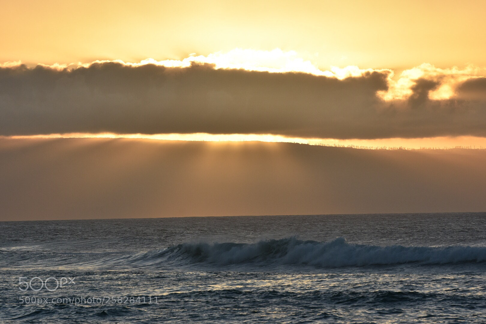 Nikon D7200 sample photo. Untitled photography