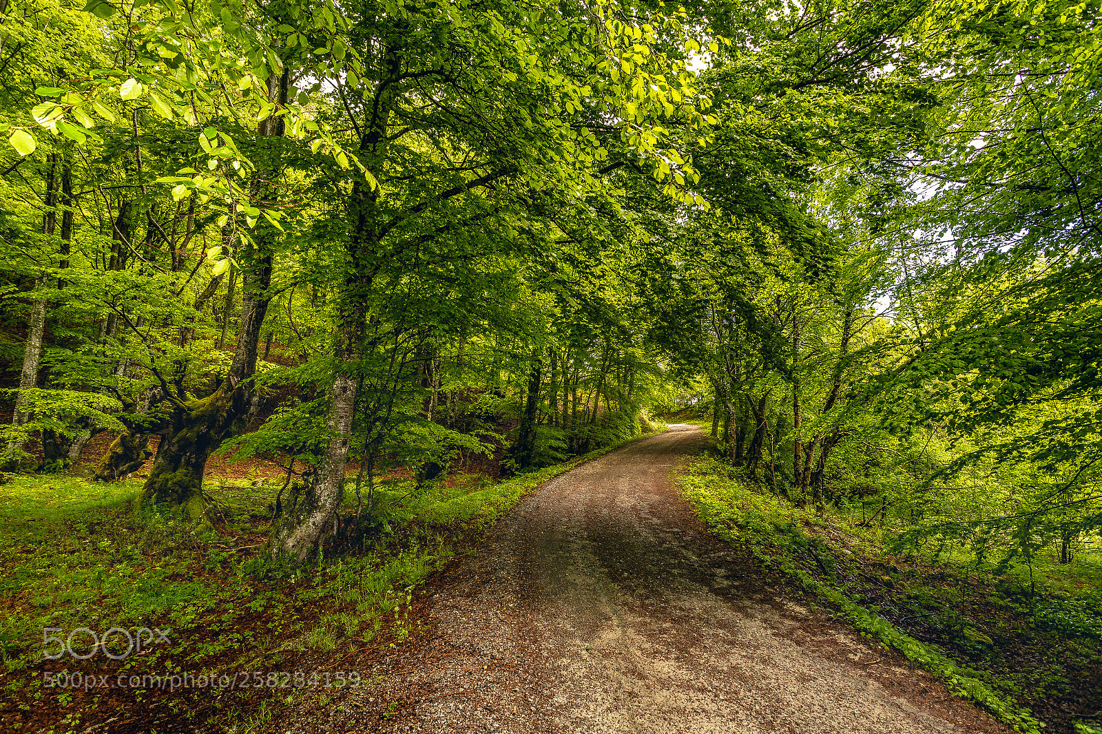 Canon EOS 6D sample photo. Quiros photography