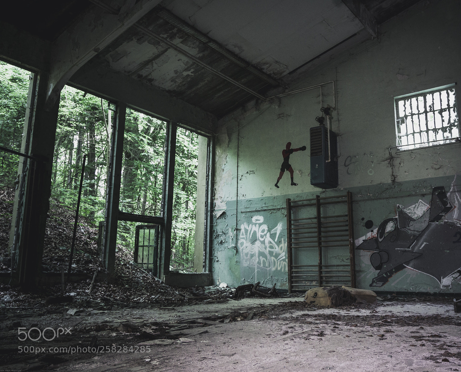 Canon EOS 50D sample photo. | fight for forgetting | photography