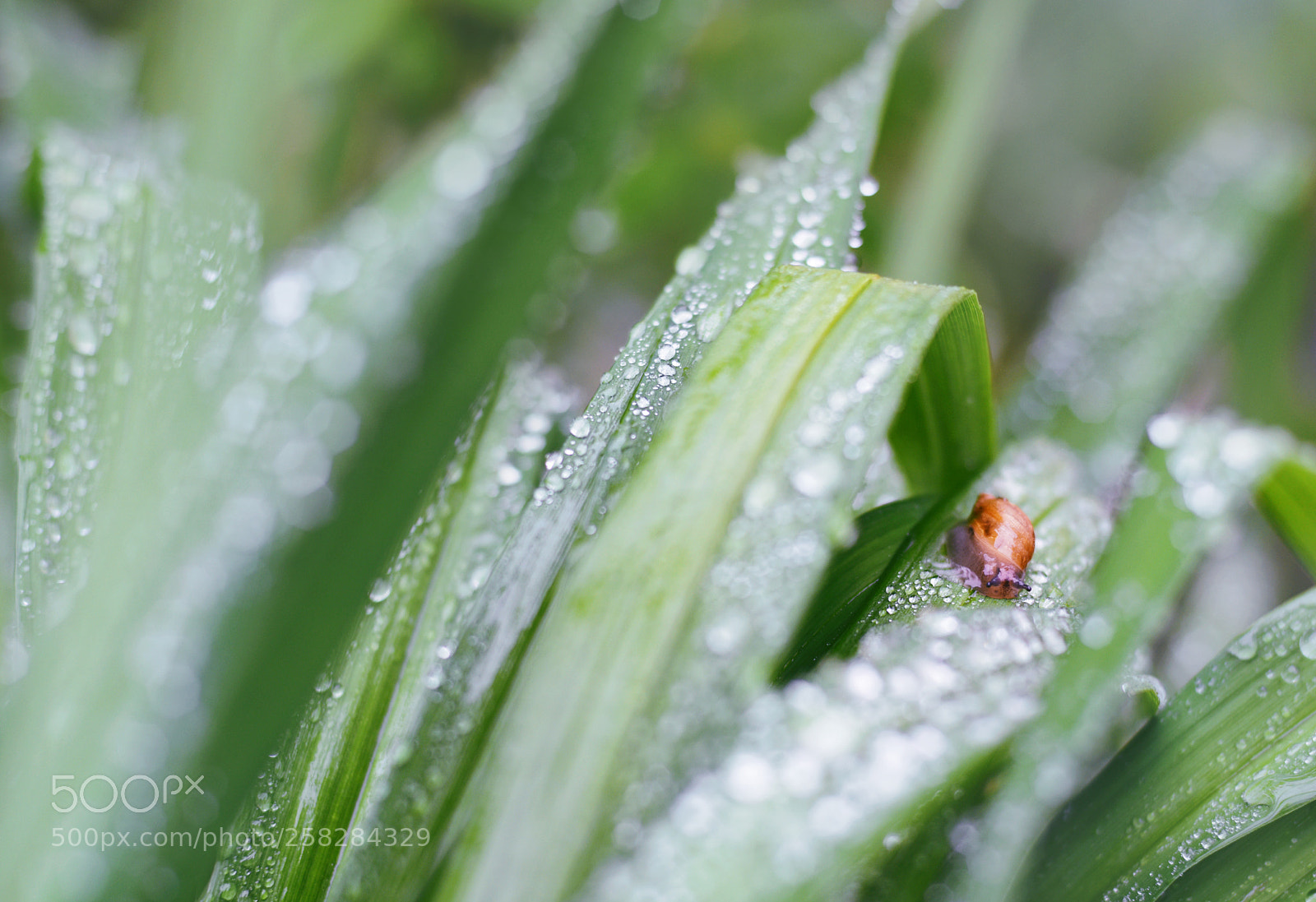 Nikon D810 sample photo. *** photography