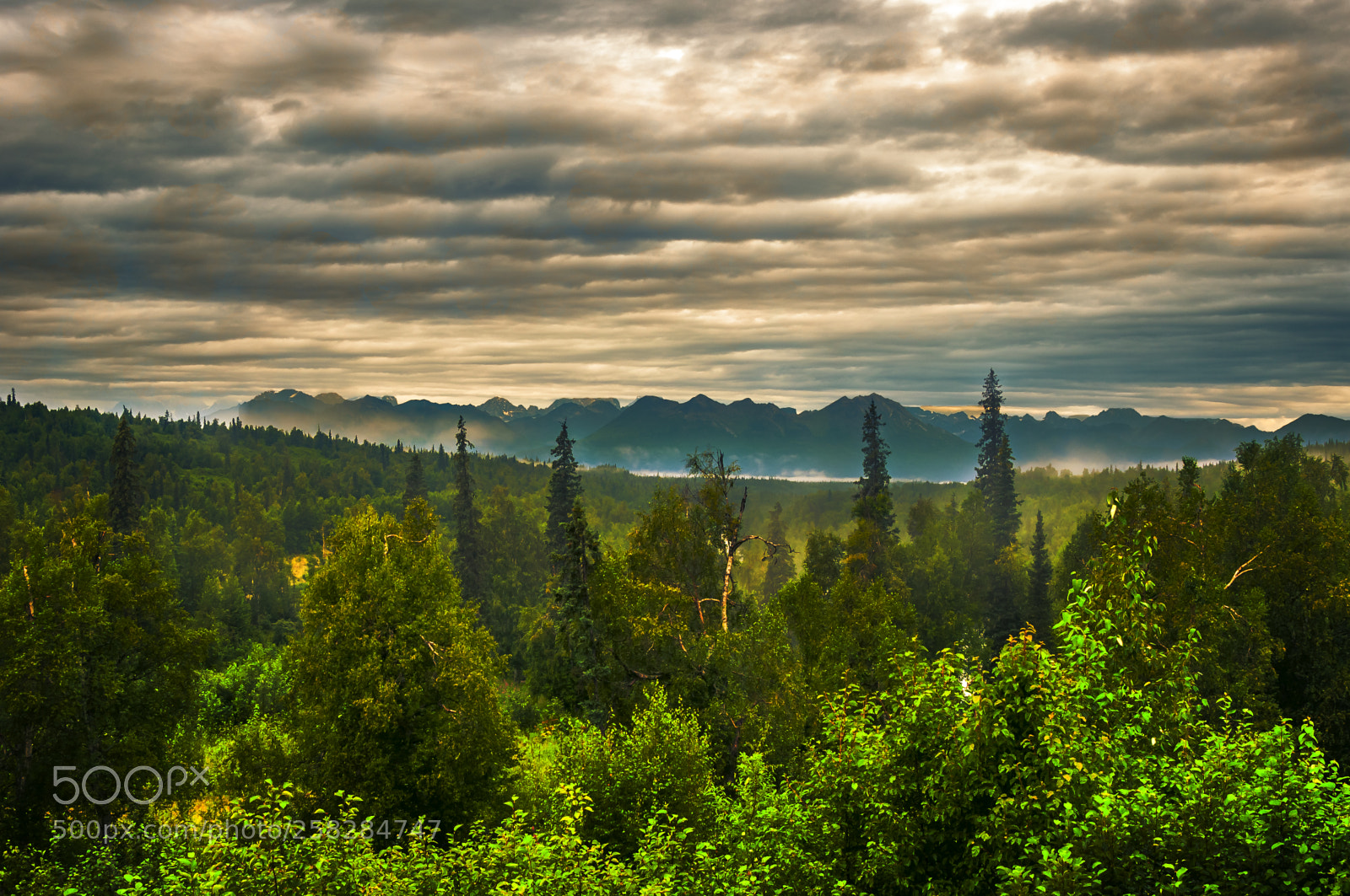 Nikon D300 sample photo. Wilderness photography