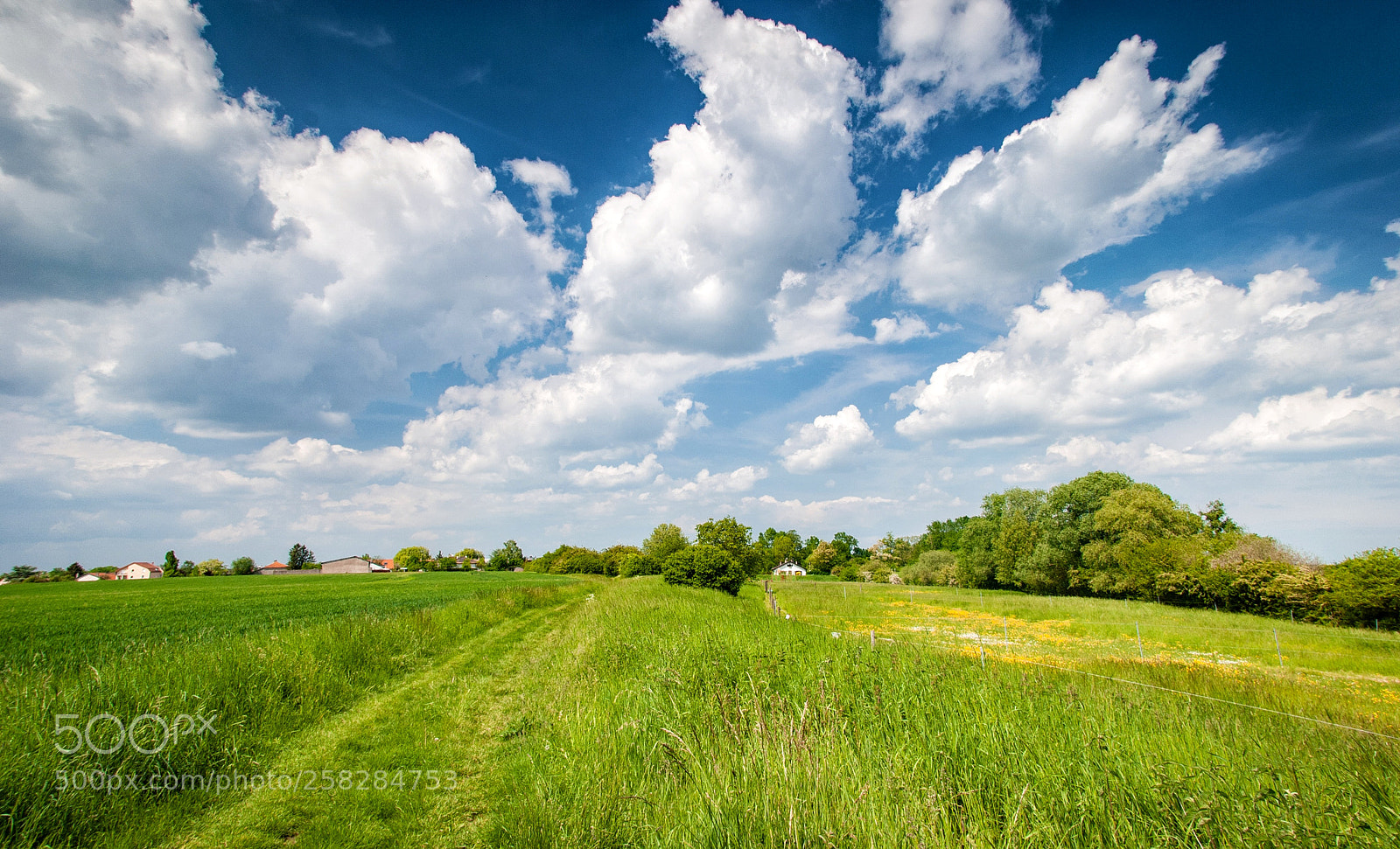Nikon D3000 sample photo. Cloudy photography
